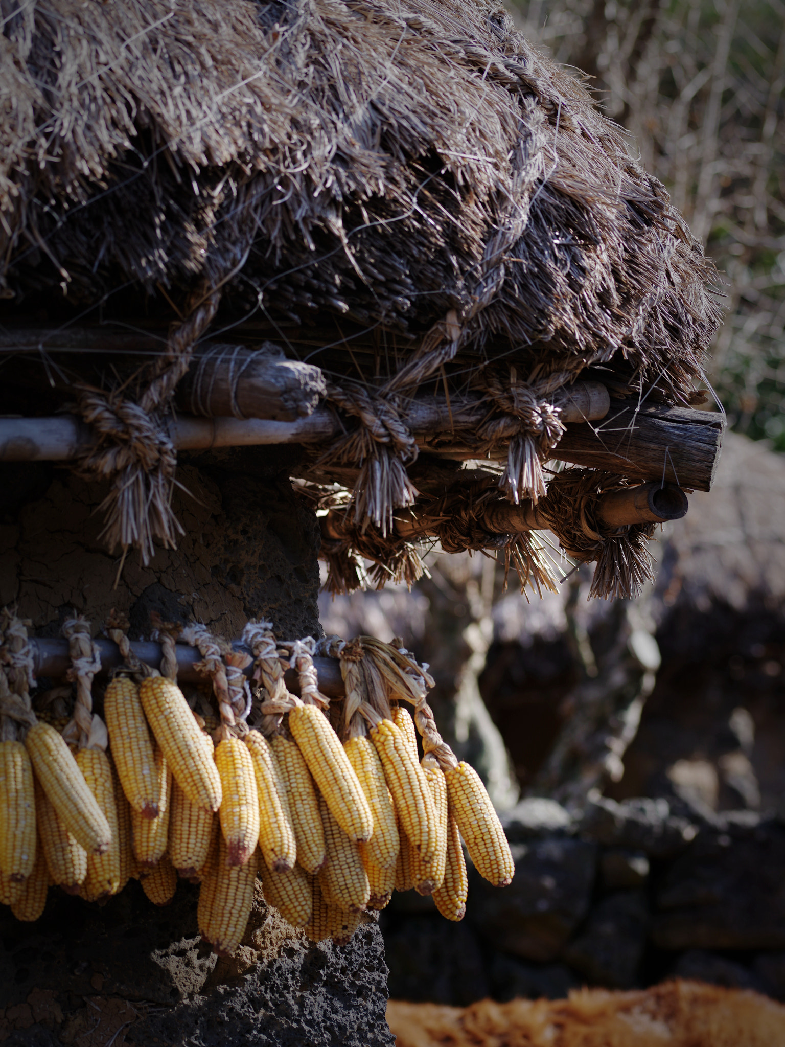 Pentax 645Z sample photo. The eaves of drying com photography