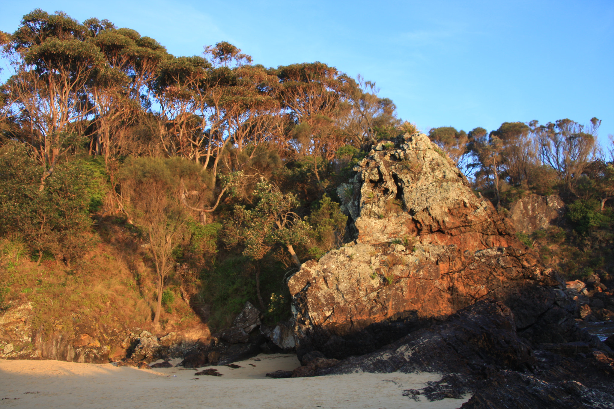 Canon EOS 40D sample photo. Img photography