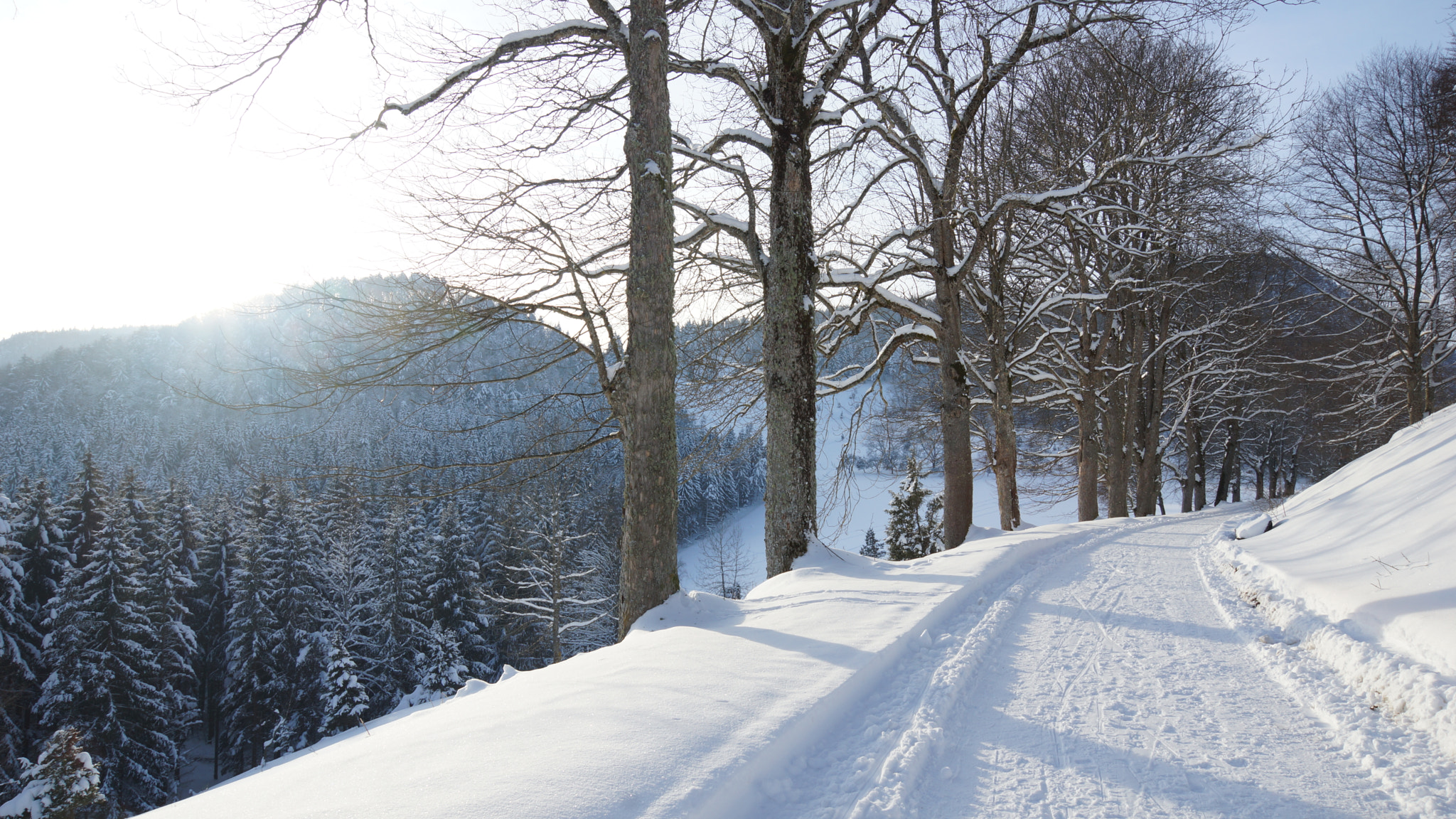 Sony SLT-A65 (SLT-A65V) sample photo. Winterspaziergang photography
