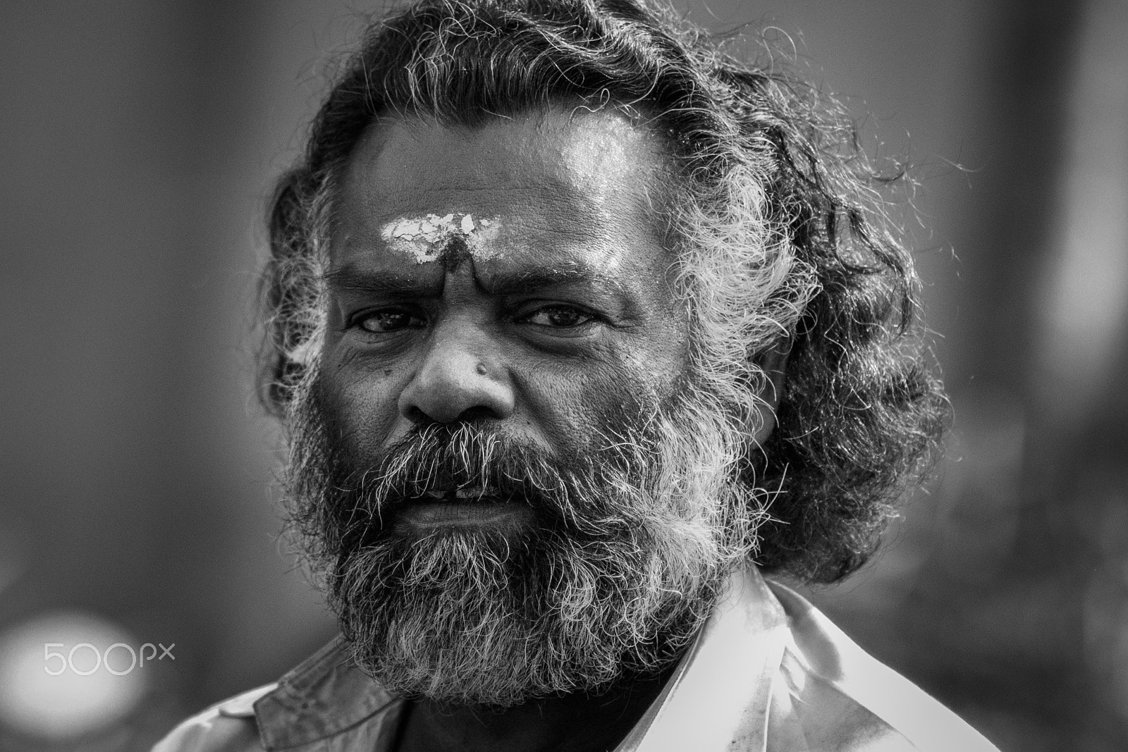 Canon EOS 80D + Canon EF 85mm F1.8 USM sample photo. Beard man photography
