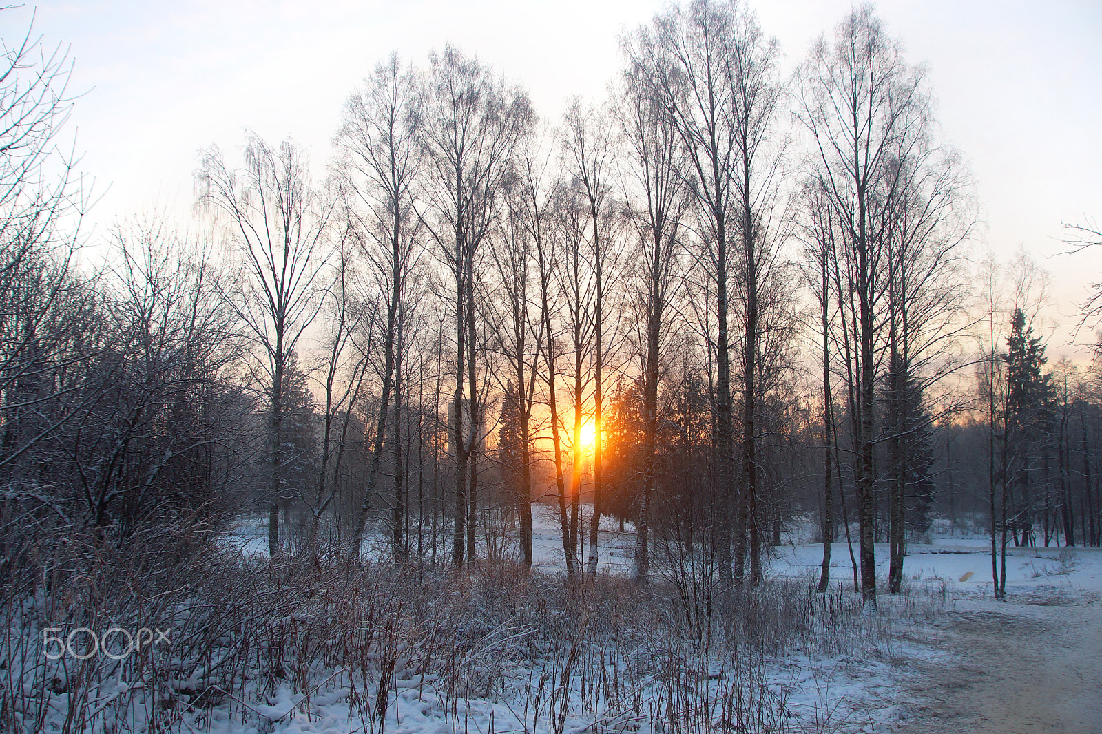Sony SLT-A65 (SLT-A65V) sample photo. Sunrise in a winter park, rays make their way through the trees photography