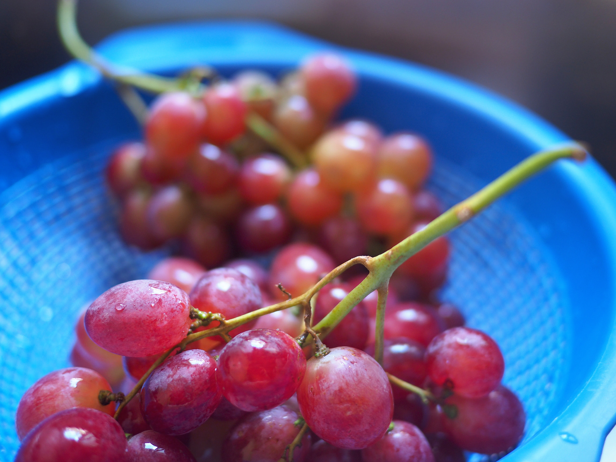 Olympus OM-D E-M5 II + Panasonic Lumix G 20mm F1.7 ASPH sample photo. Grapes in blue photography