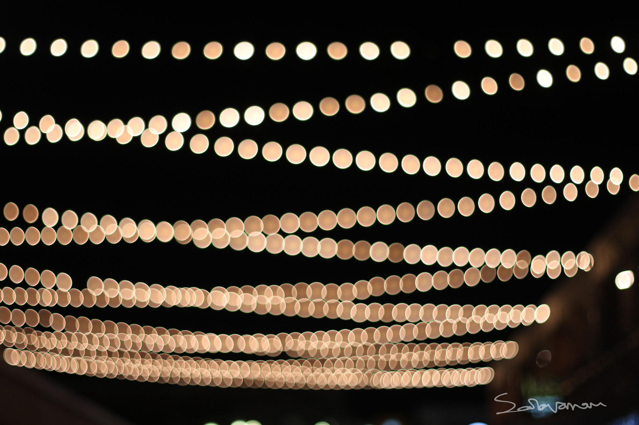Canon EF 50mm F1.8 II sample photo. Bokeh photography