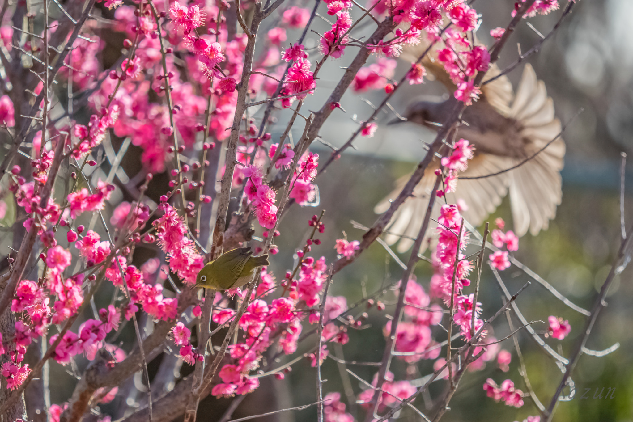 Canon EF 180mm F3.5L Macro USM sample photo. Go out!!!!!! photography