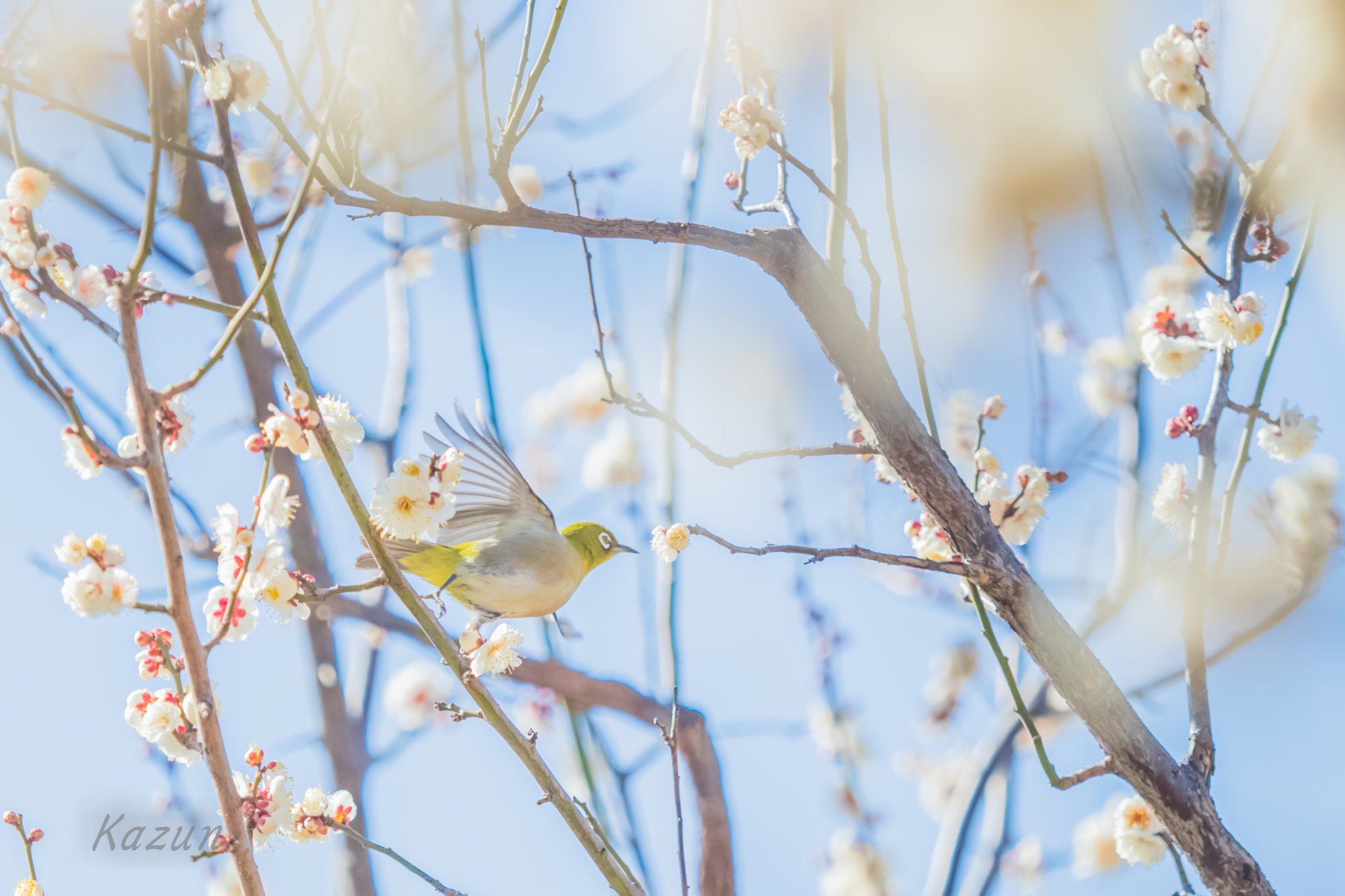 Canon EF 180mm F3.5L Macro USM sample photo. Failure4 photography