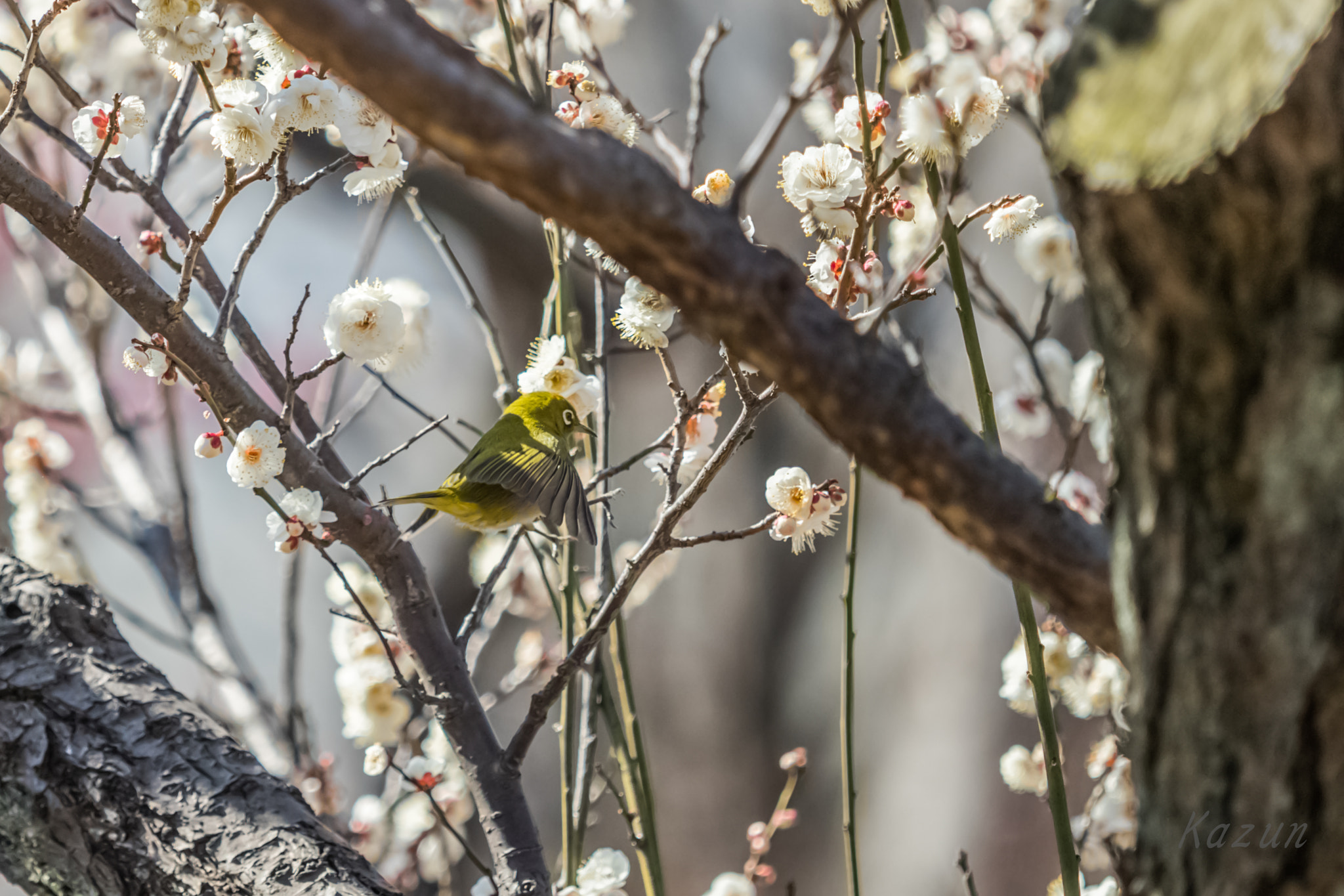 Canon EF 180mm F3.5L Macro USM sample photo. Failure5 photography