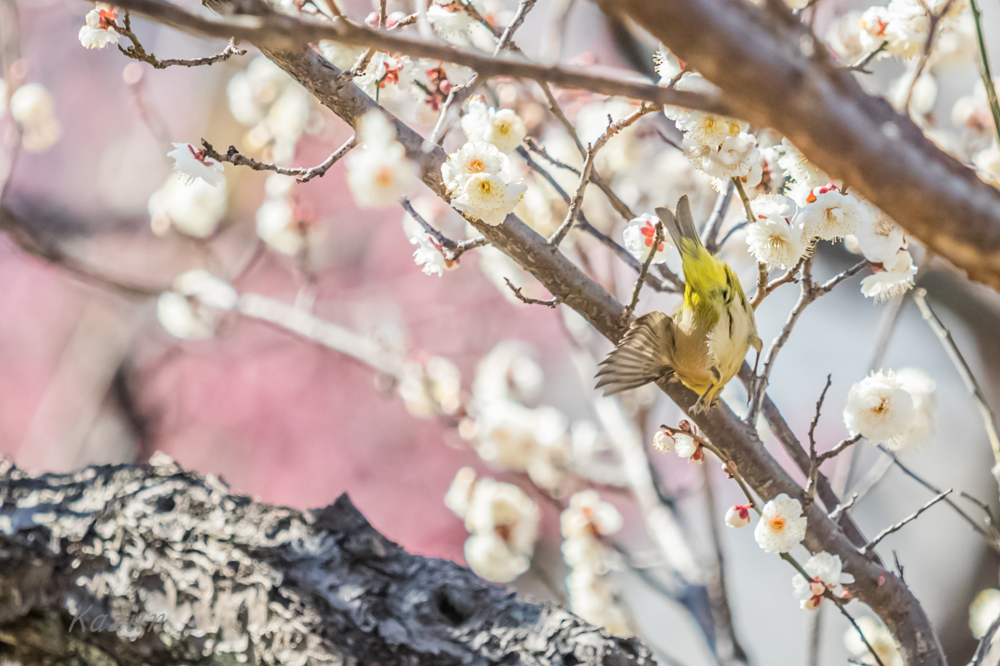 Canon EF 180mm F3.5L Macro USM sample photo. Failure6 photography