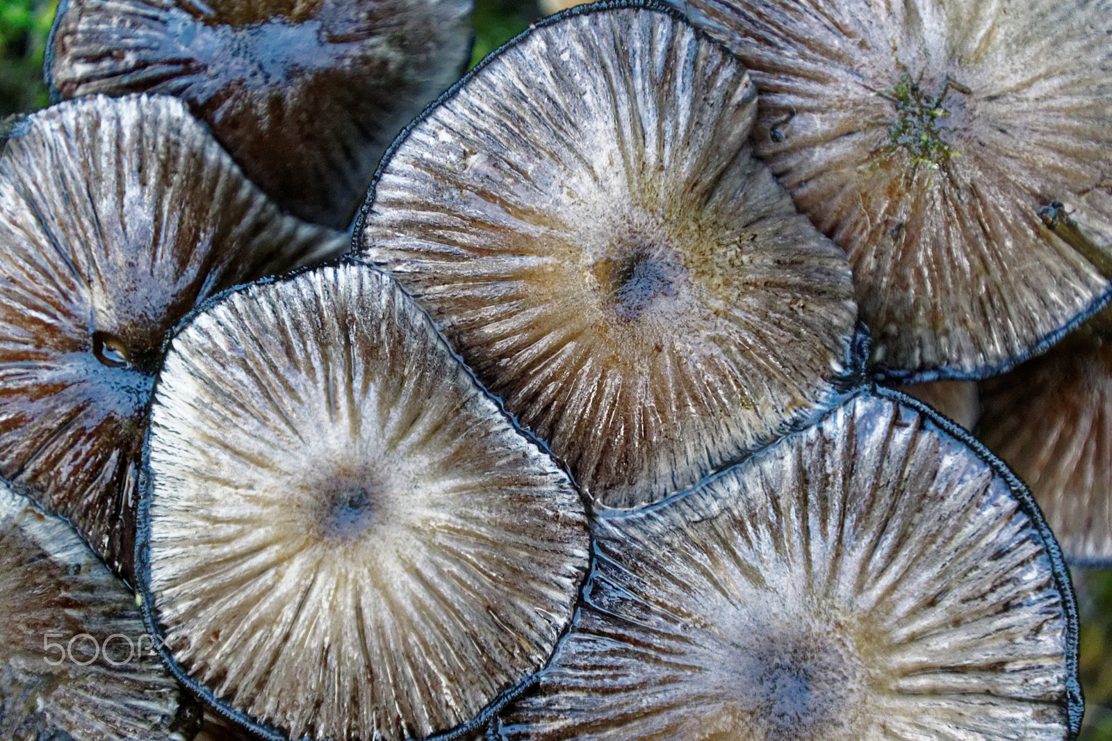 Tamron 16-300mm F3.5-6.3 Di II VC PZD Macro sample photo. 31964783171.jpg photography