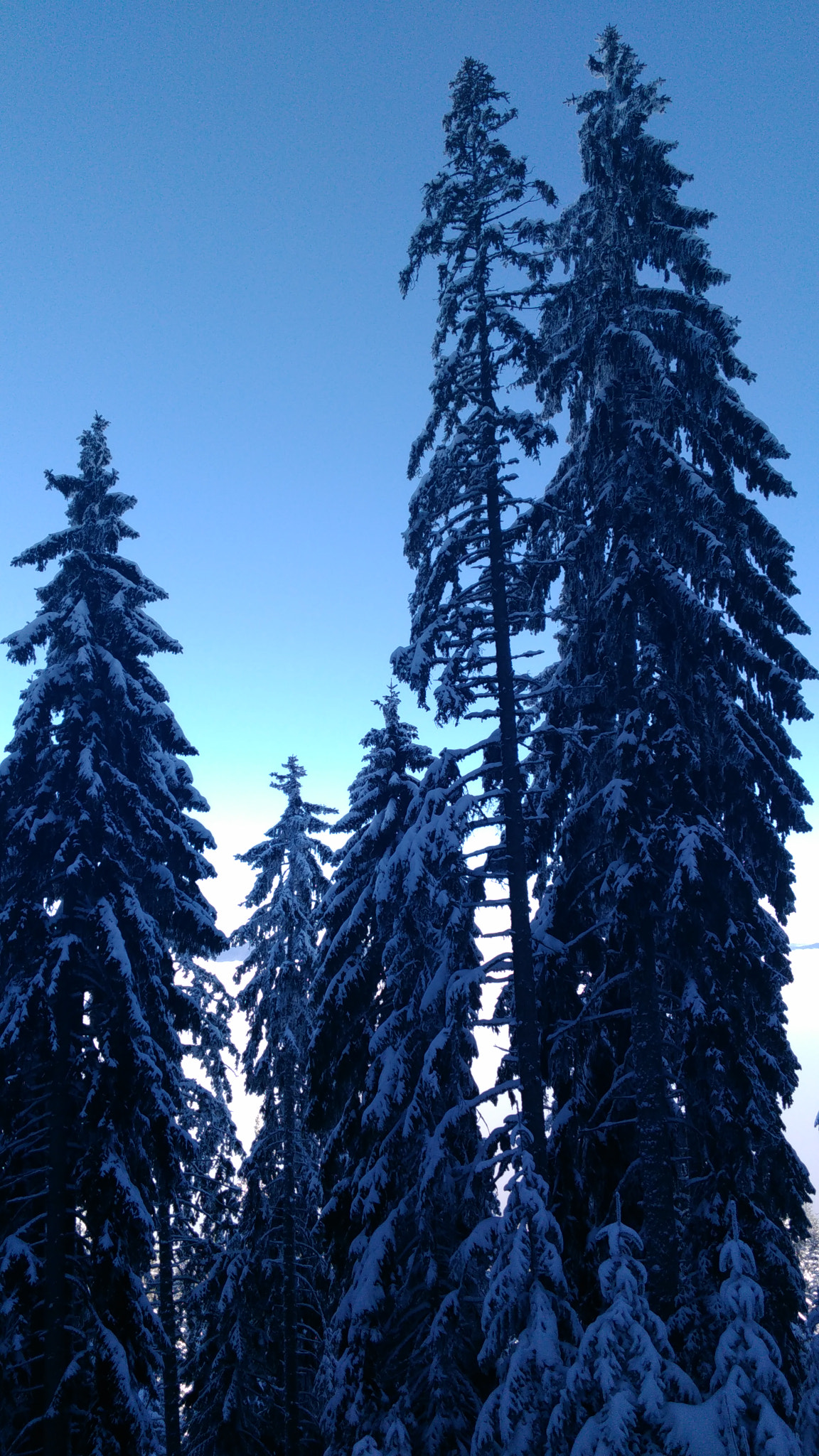 Lenovo S60-A sample photo. Требевић photography
