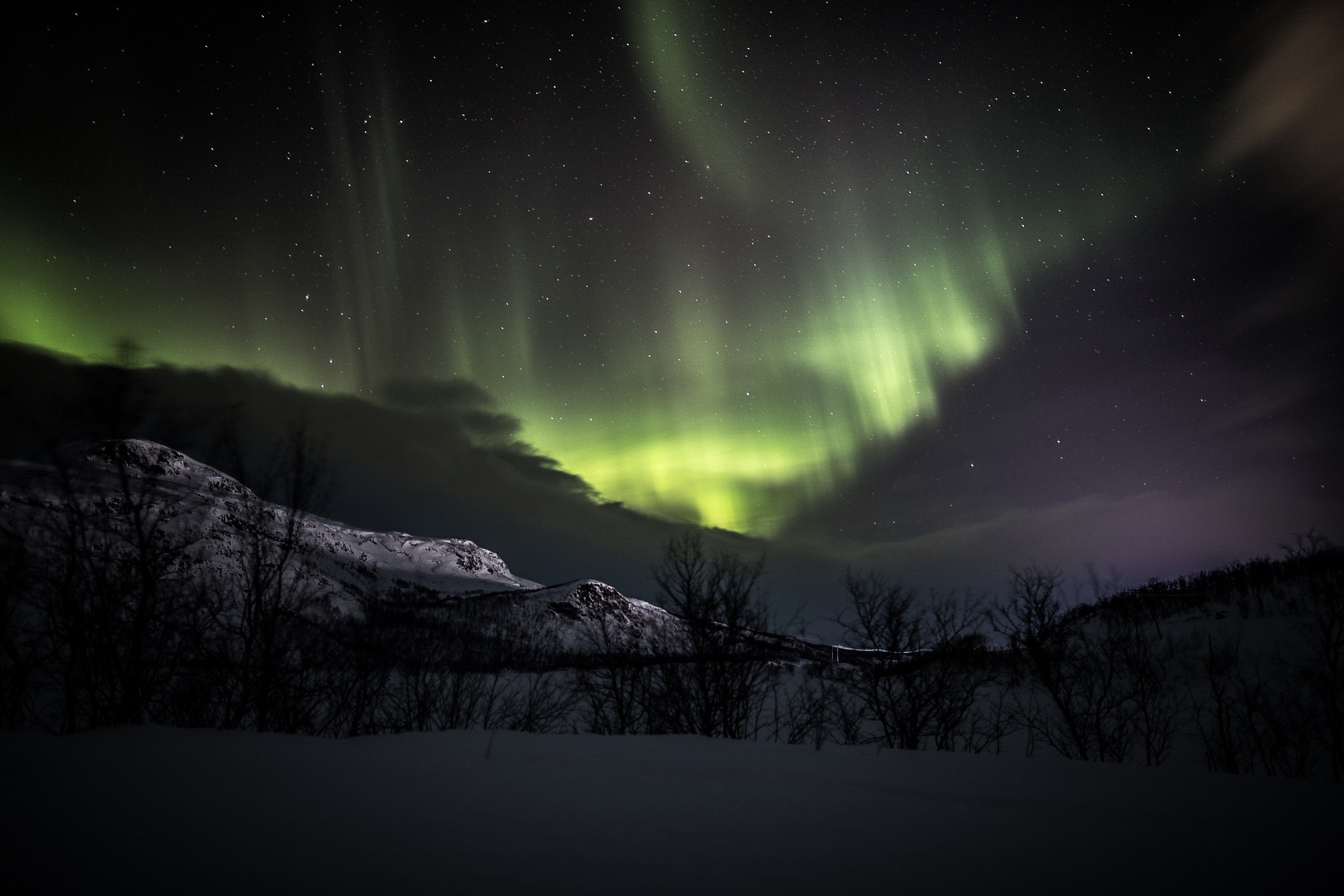 Canon EF 24mm F1.4L II USM sample photo. Northern lights at kilpisjärvi, finland. photography