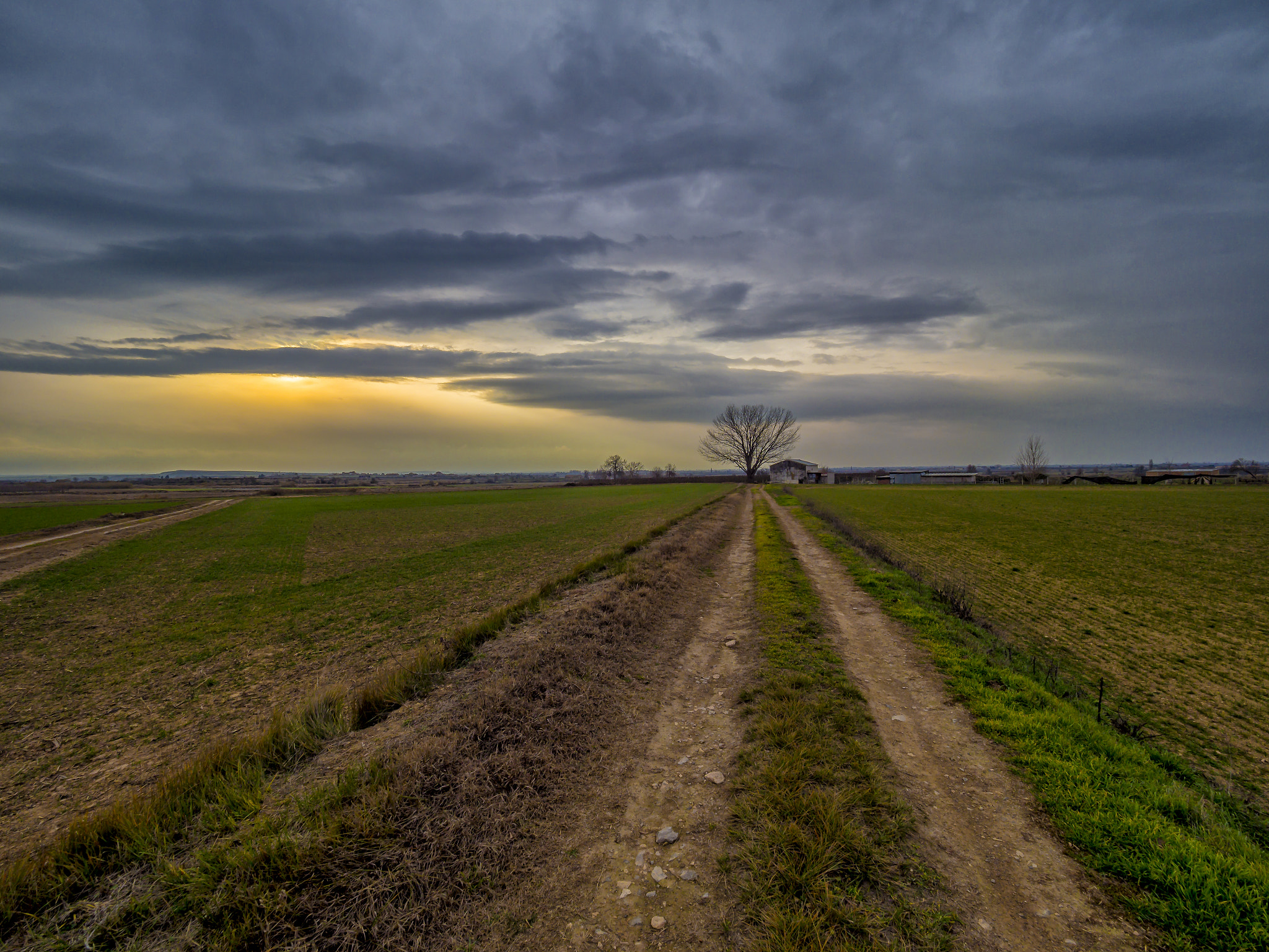 Olympus OM-D E-M1 Mark II + Olympus M.Zuiko Digital ED 7-14mm F2.8 PRO sample photo. Sunrise in the countryside photography