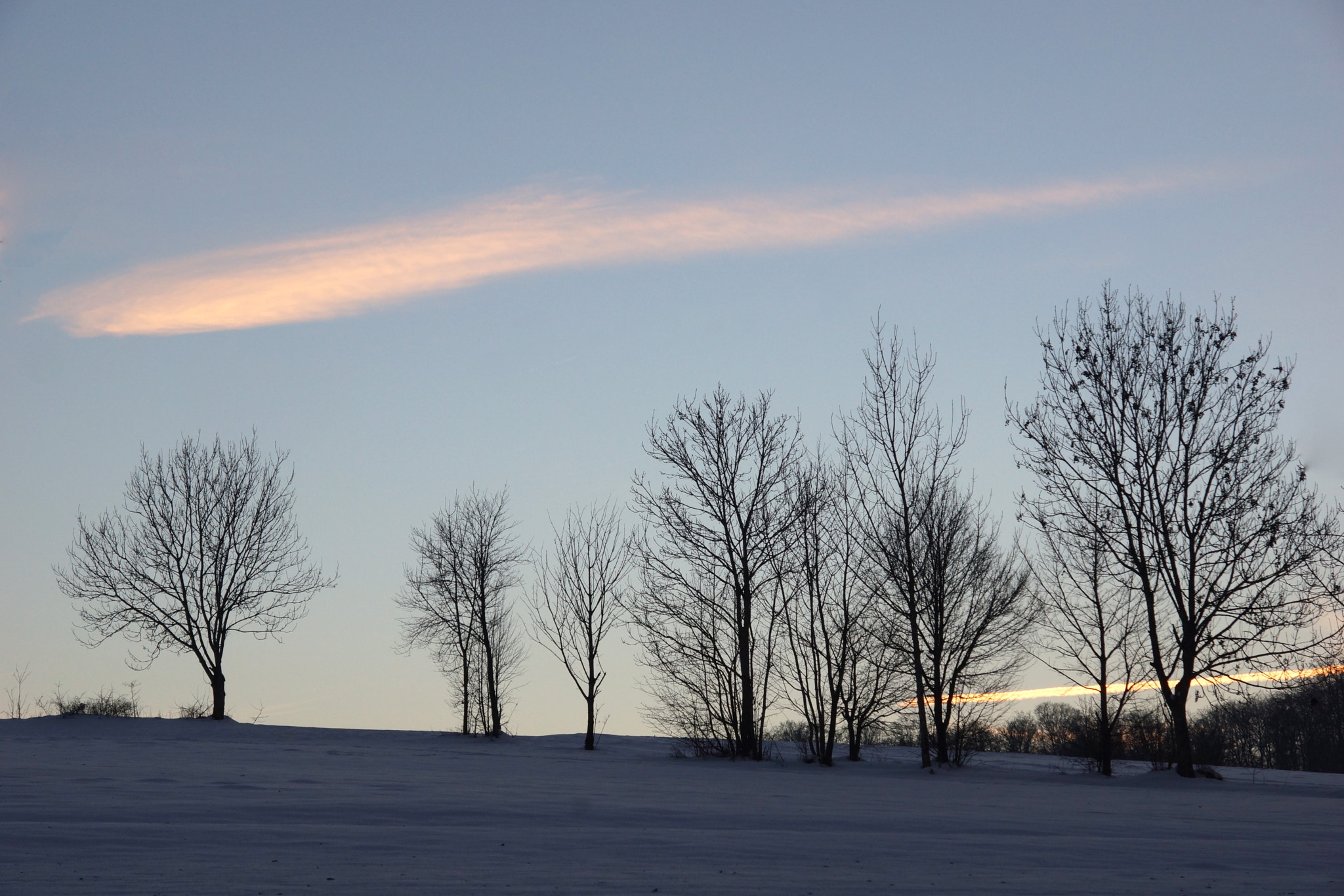 Sony SLT-A65 (SLT-A65V) sample photo. Winterwolke photography