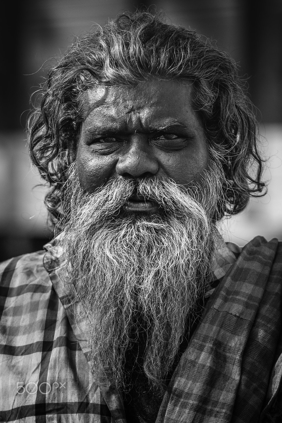 Canon EOS 80D + Canon EF 85mm F1.8 USM sample photo. Beard man photography