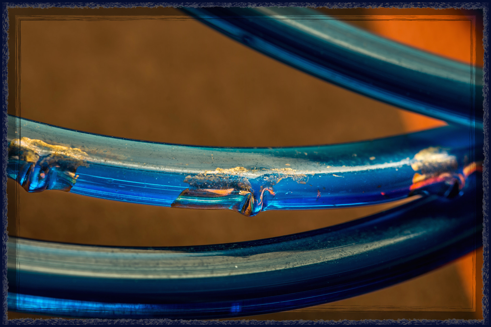 Canon EF 100mm F2.8L Macro IS USM sample photo. Blues, 3 photography