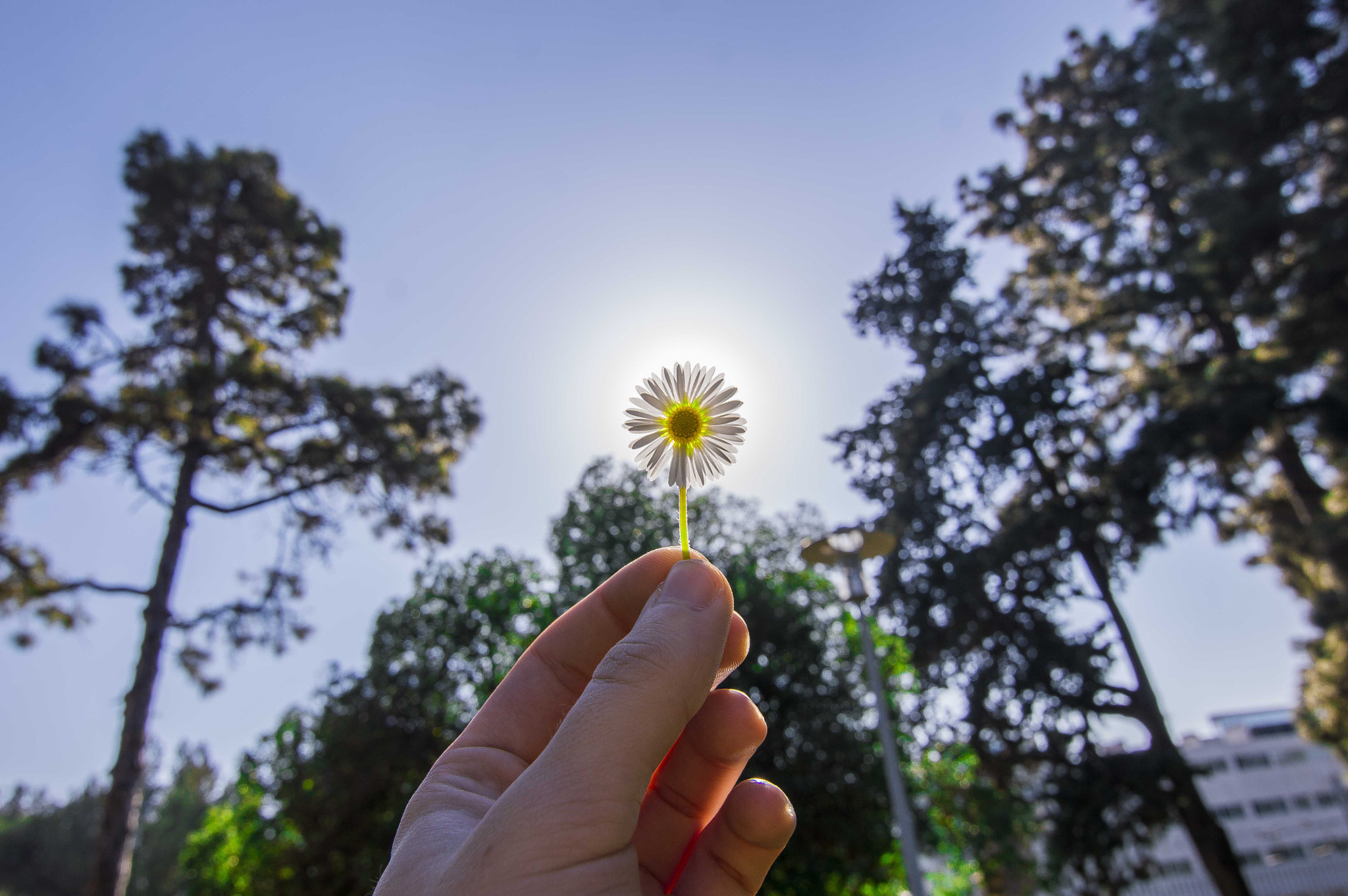 Nikon D3200 sample photo. Photo photography