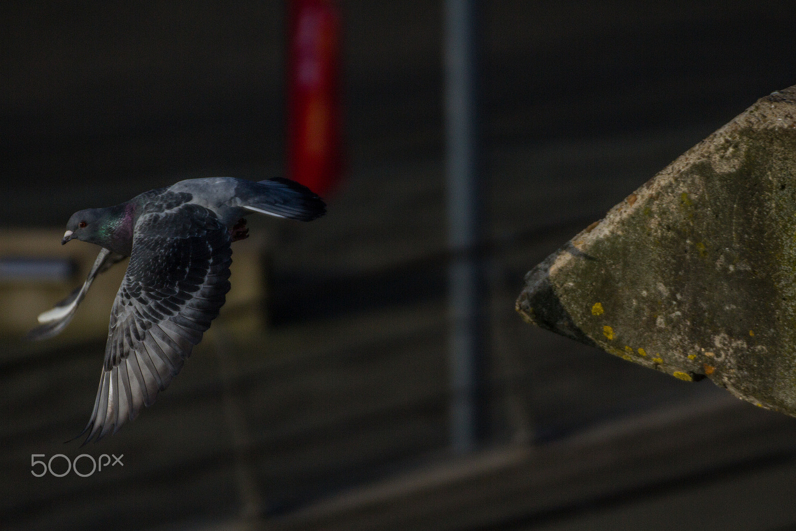 Tamron SP 35mm F1.8 Di VC USD sample photo. Takeoff photography