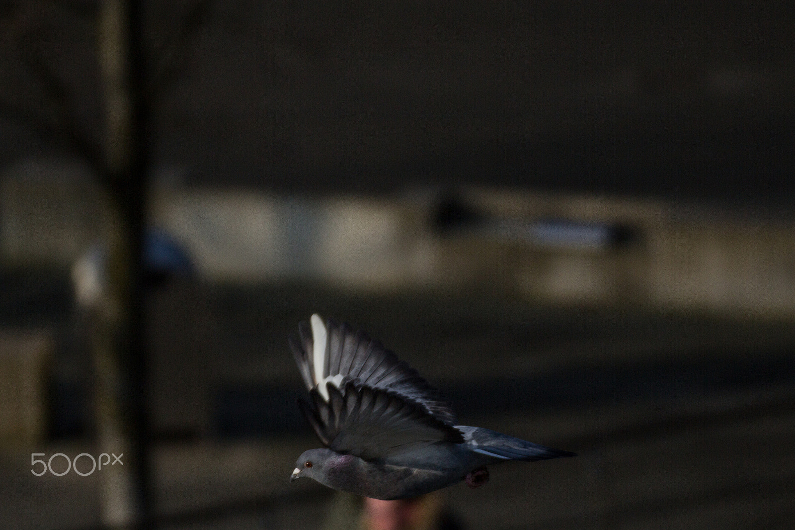 Tamron SP 35mm F1.8 Di VC USD sample photo. In flight photography