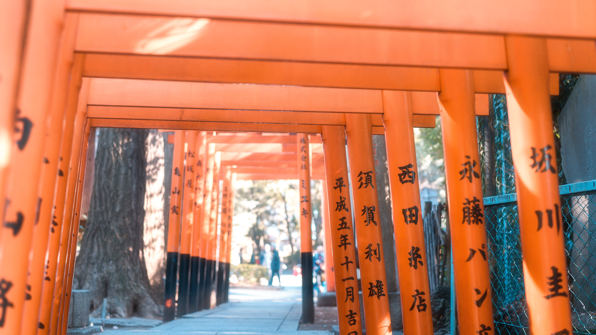 Sony a7S + Sony Sonnar T* FE 55mm F1.8 ZA sample photo. 上野花園稲荷神社鳥居 photography