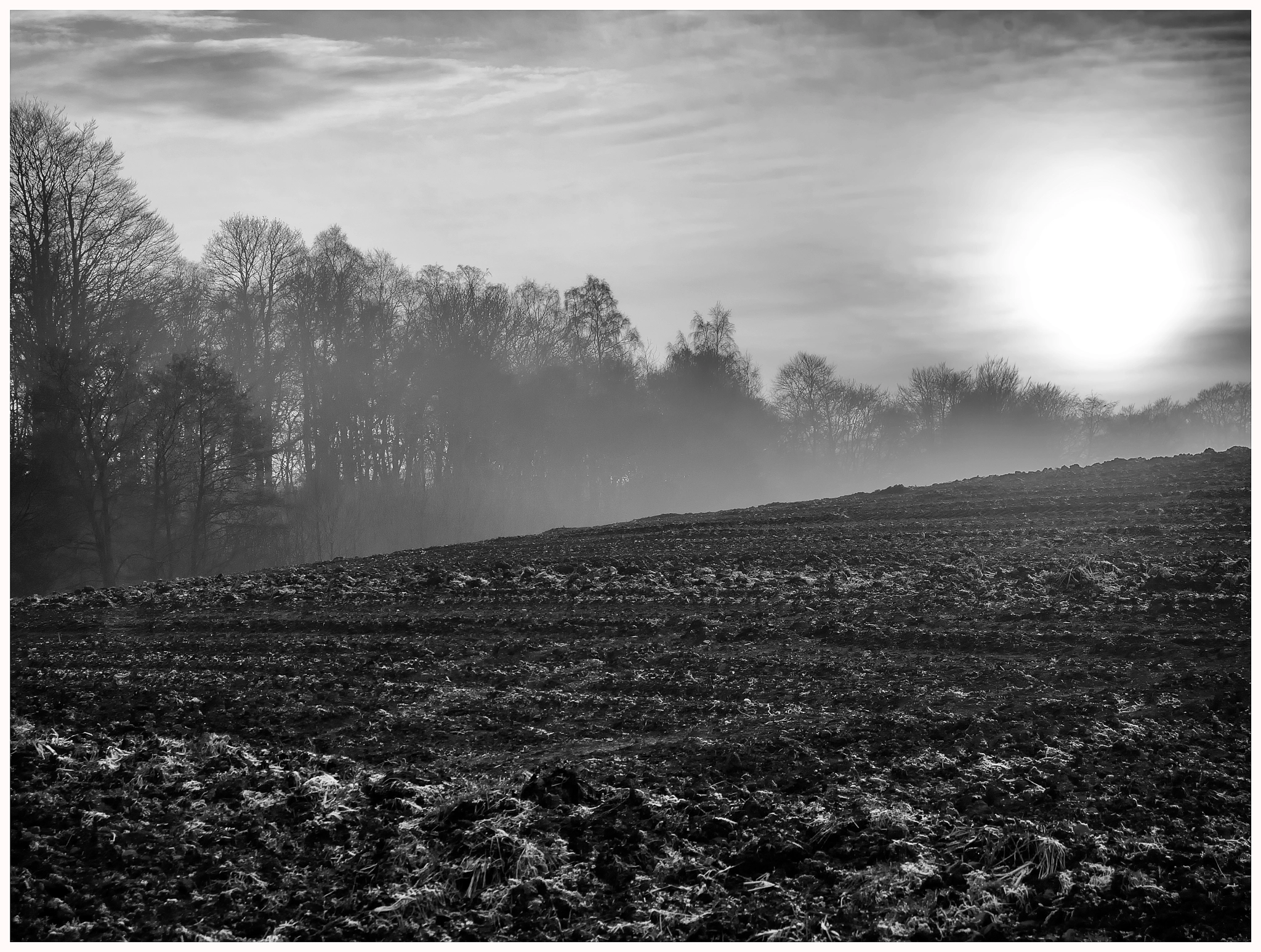 AF Zoom-Nikkor 28-80mm f/3.3-5.6G sample photo. Misty afternoon sunshine photography