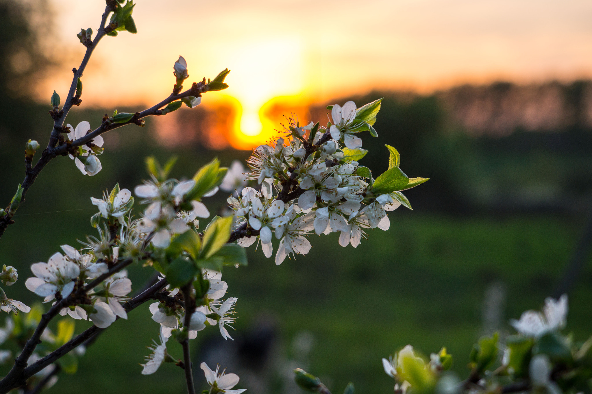 E 18-50mm F4-5.6 sample photo. с photography
