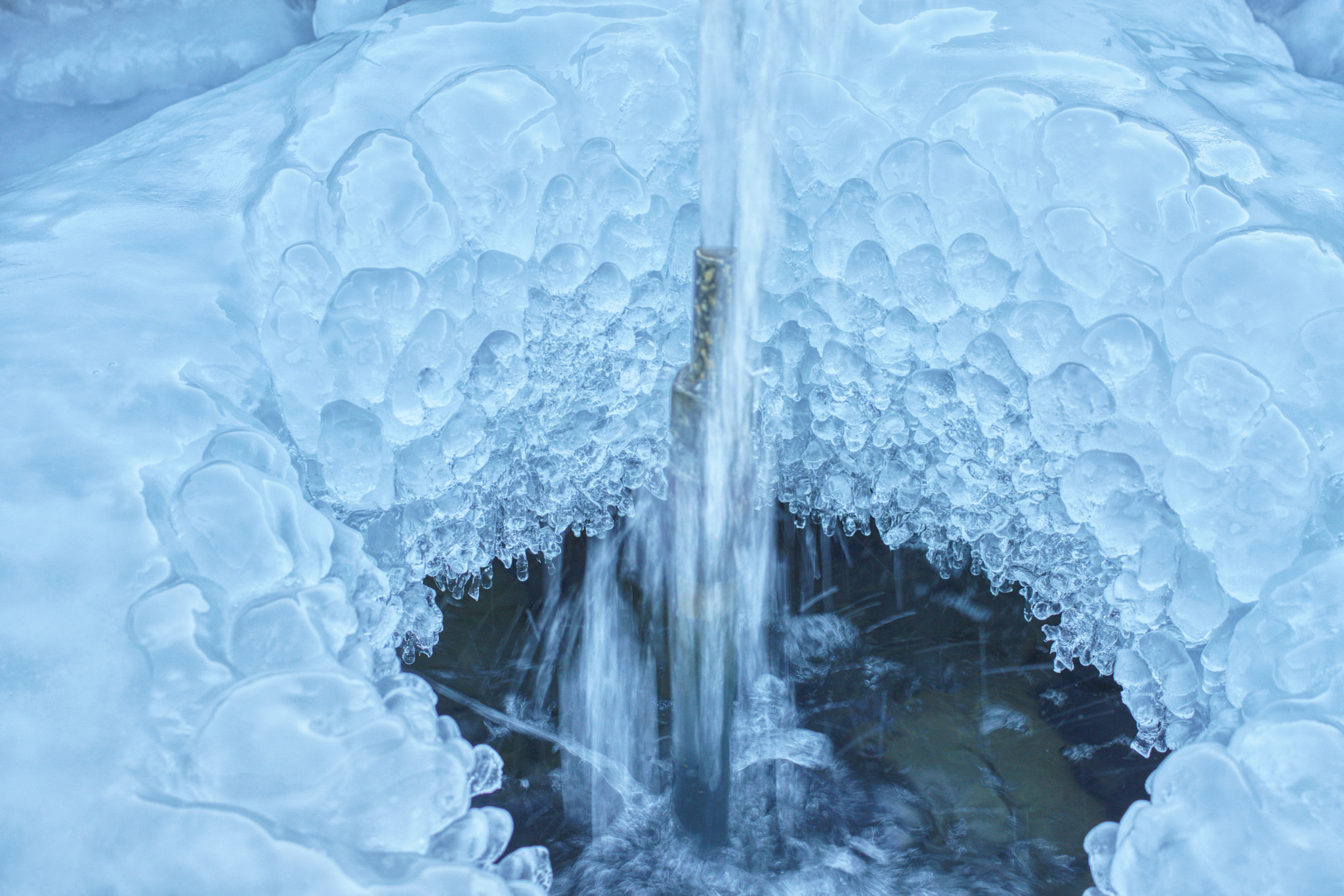 Sony DT 30mm F2.8 Macro SAM sample photo. Frozen! photography
