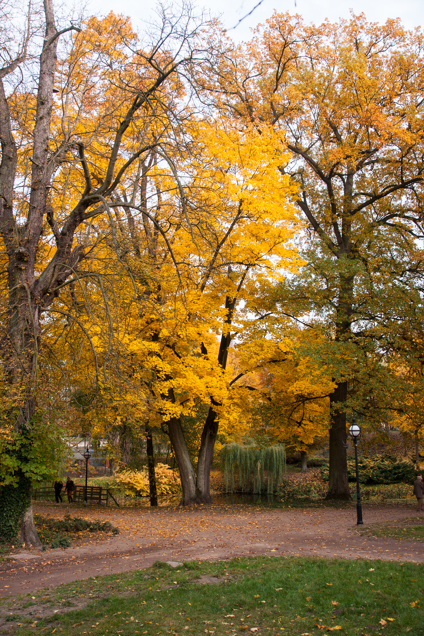 Sony DT 16-105mm F3.5-5.6 sample photo. Lubostroń photography
