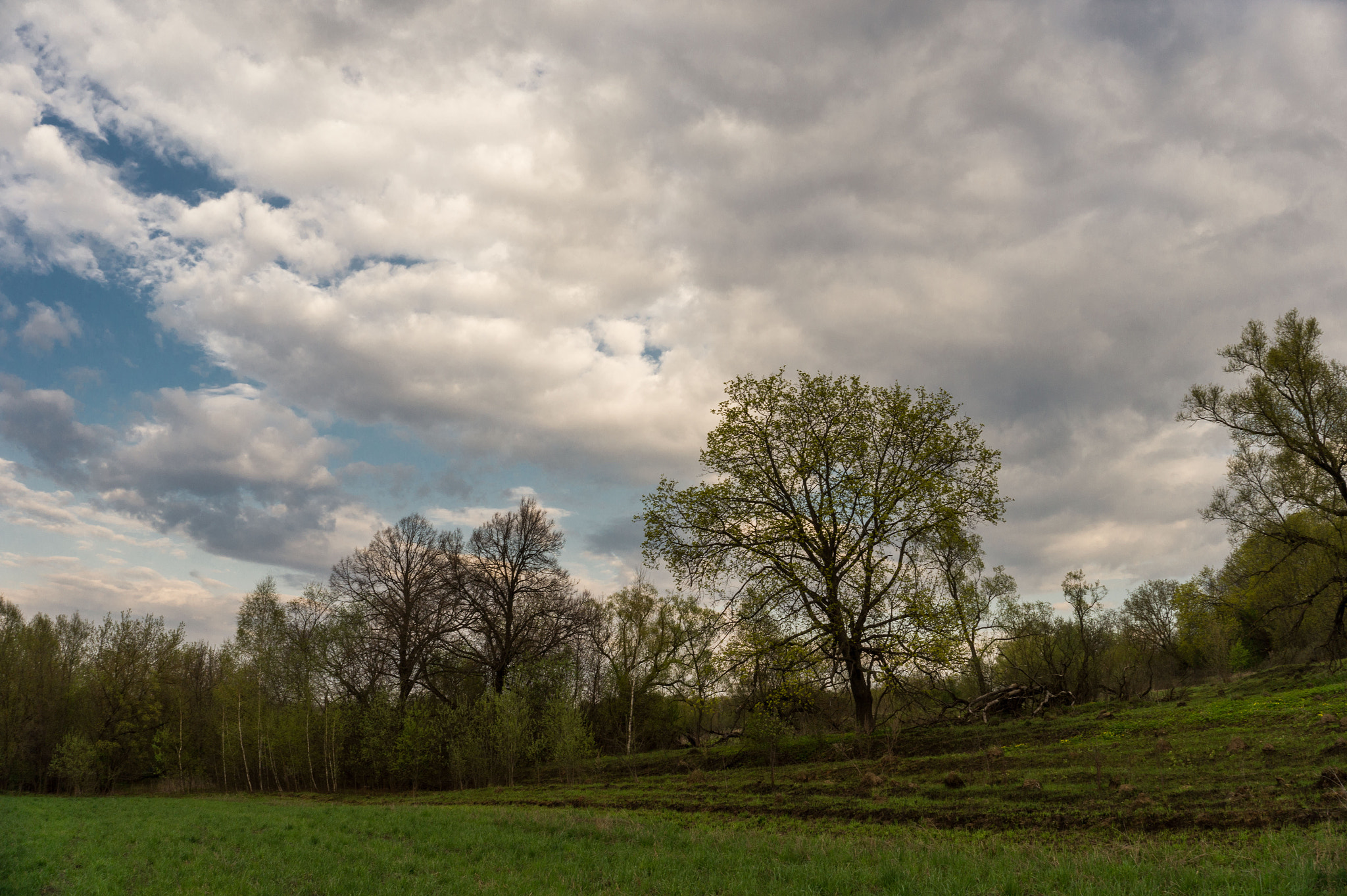 E 18-50mm F4-5.6 sample photo. д photography