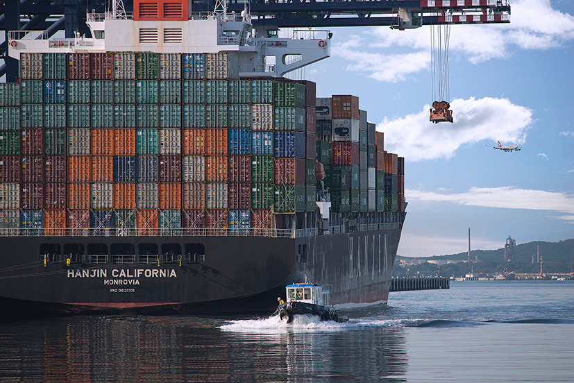 AF Nikkor 300mm f/4 IF-ED sample photo. Early morning at port botany, sydney australia photography