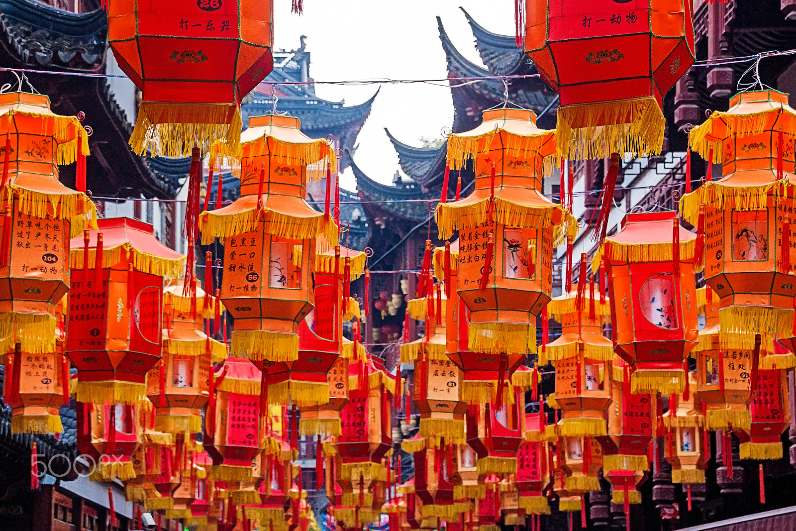 Canon EOS 50D + Tamron 18-270mm F3.5-6.3 Di II VC PZD sample photo. Chinese lanterns photography
