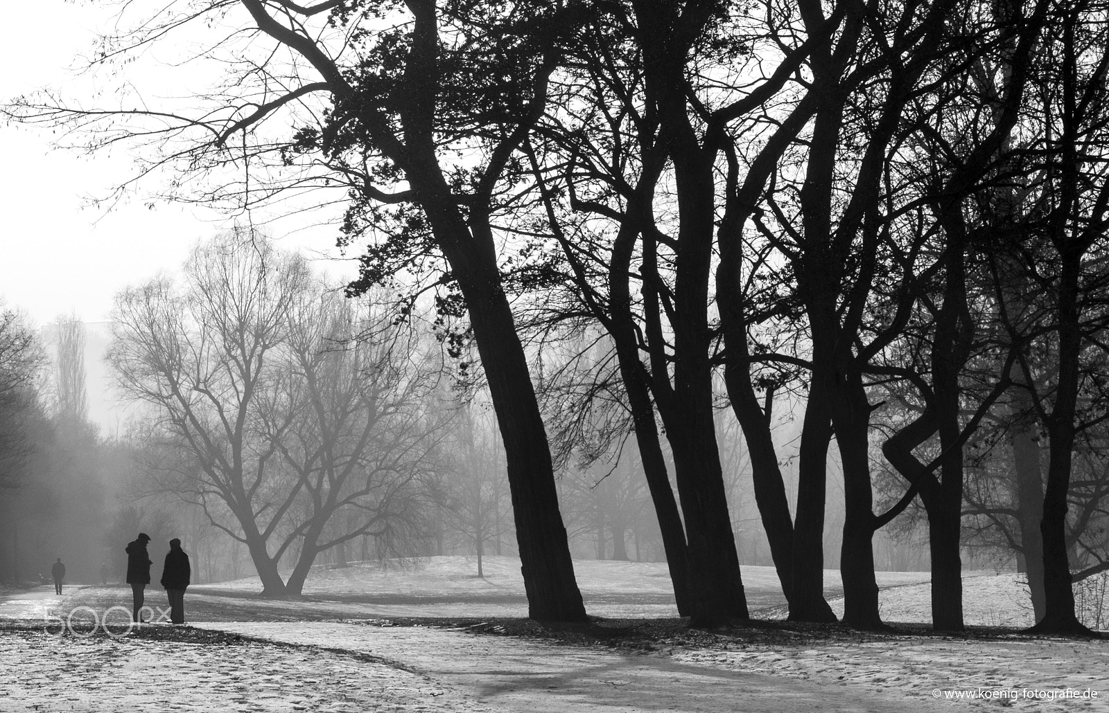 Fujifilm X-Pro1 + Fujifilm XF 60mm F2.4 R Macro sample photo. Winter walk in the park photography