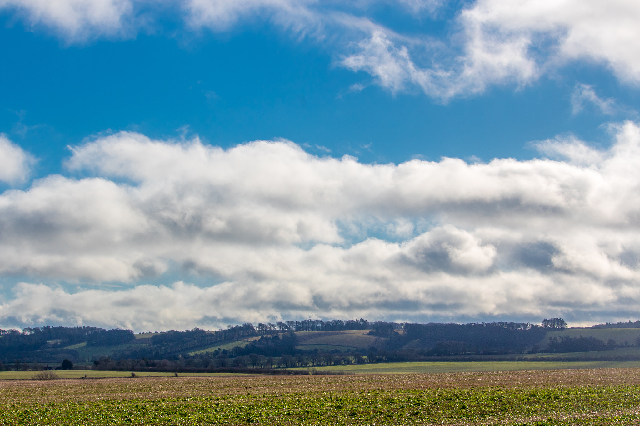Canon EF-S 55-250mm F4-5.6 IS STM sample photo. Blue sky photography