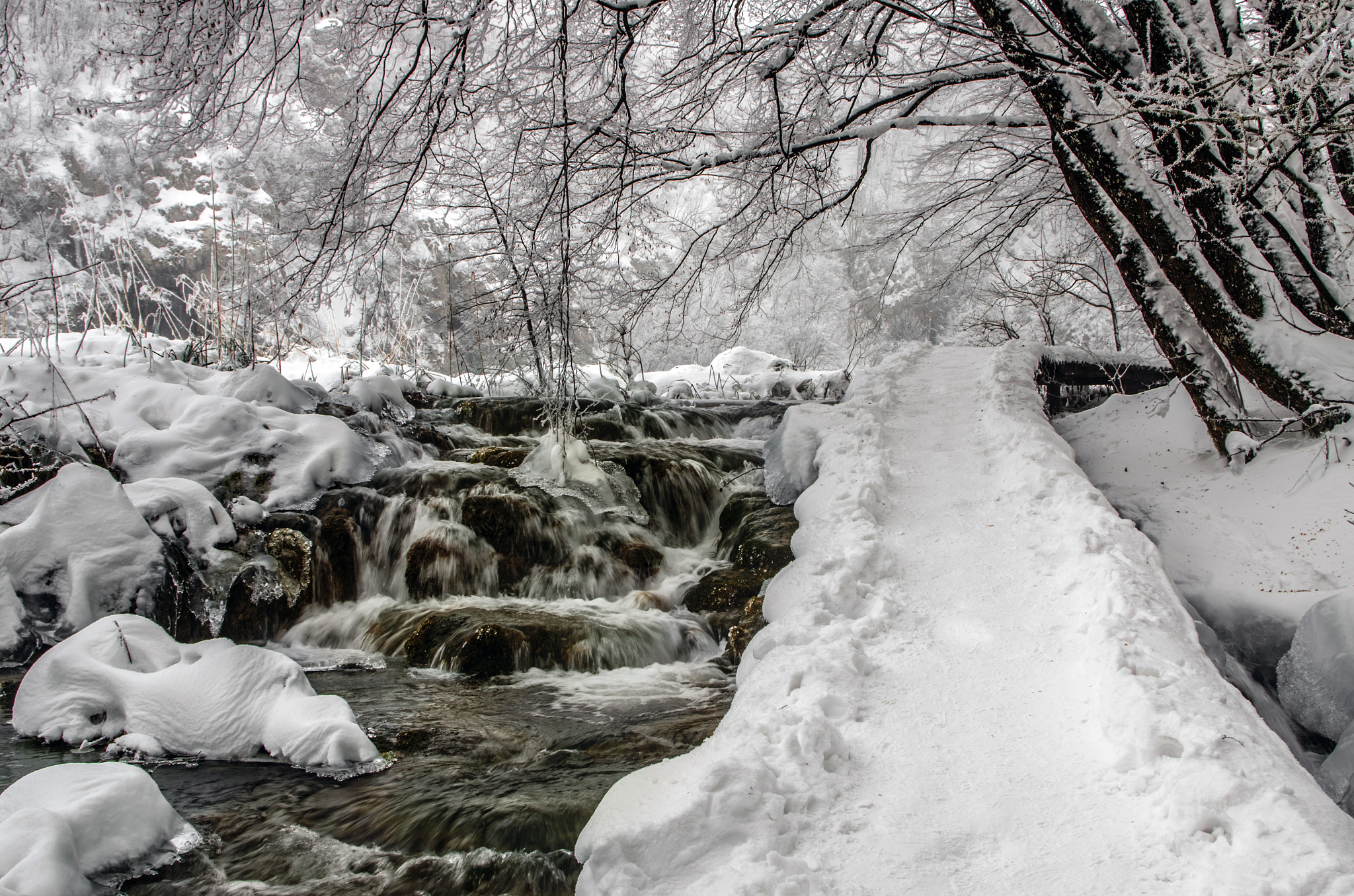 Pentax K-5 II sample photo. Pathway photography