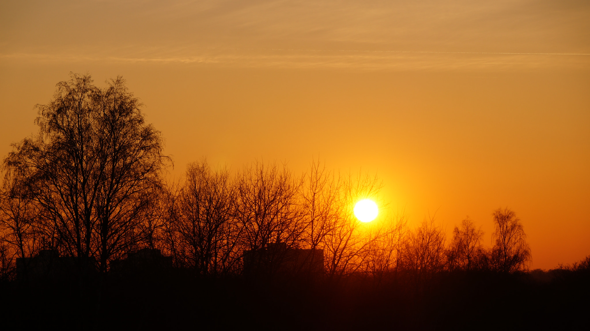 Sony DT 18-250mm F3.5-6.3 sample photo. Feb sunny morning photography