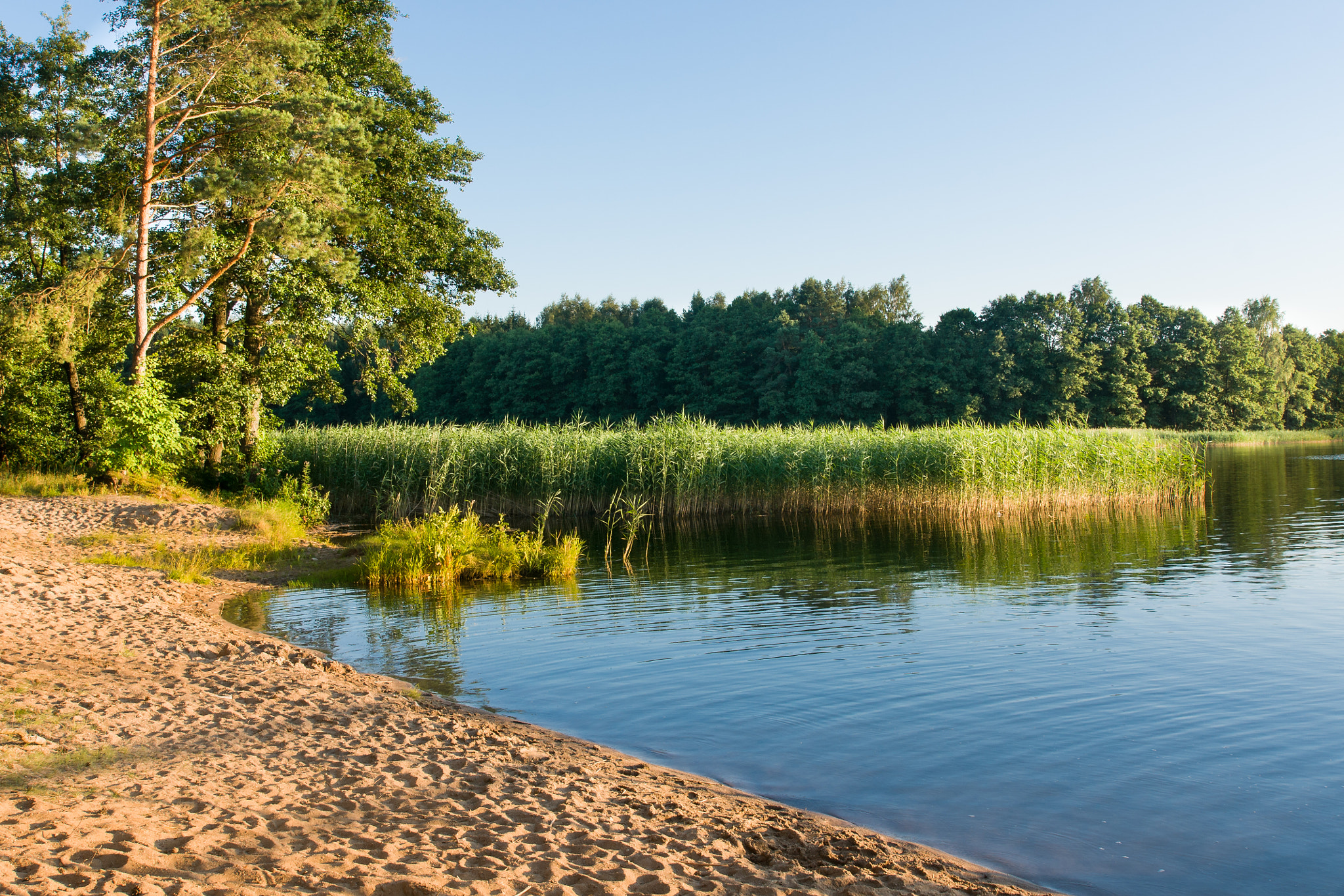 Sony DT 16-105mm F3.5-5.6 sample photo. Mazury photography
