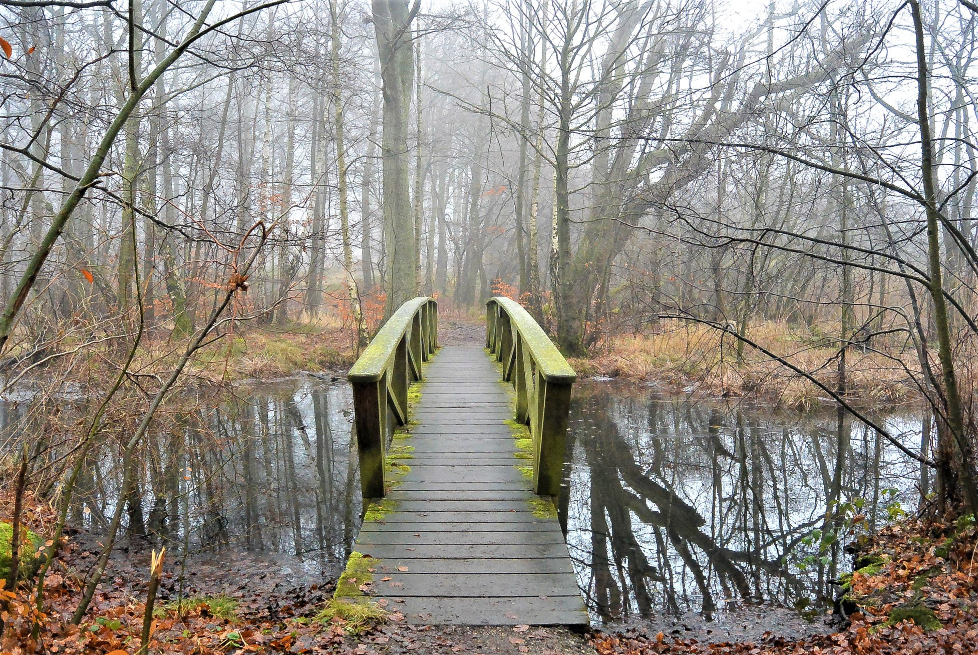 Nikon 1 S1 sample photo. The crossing... photography