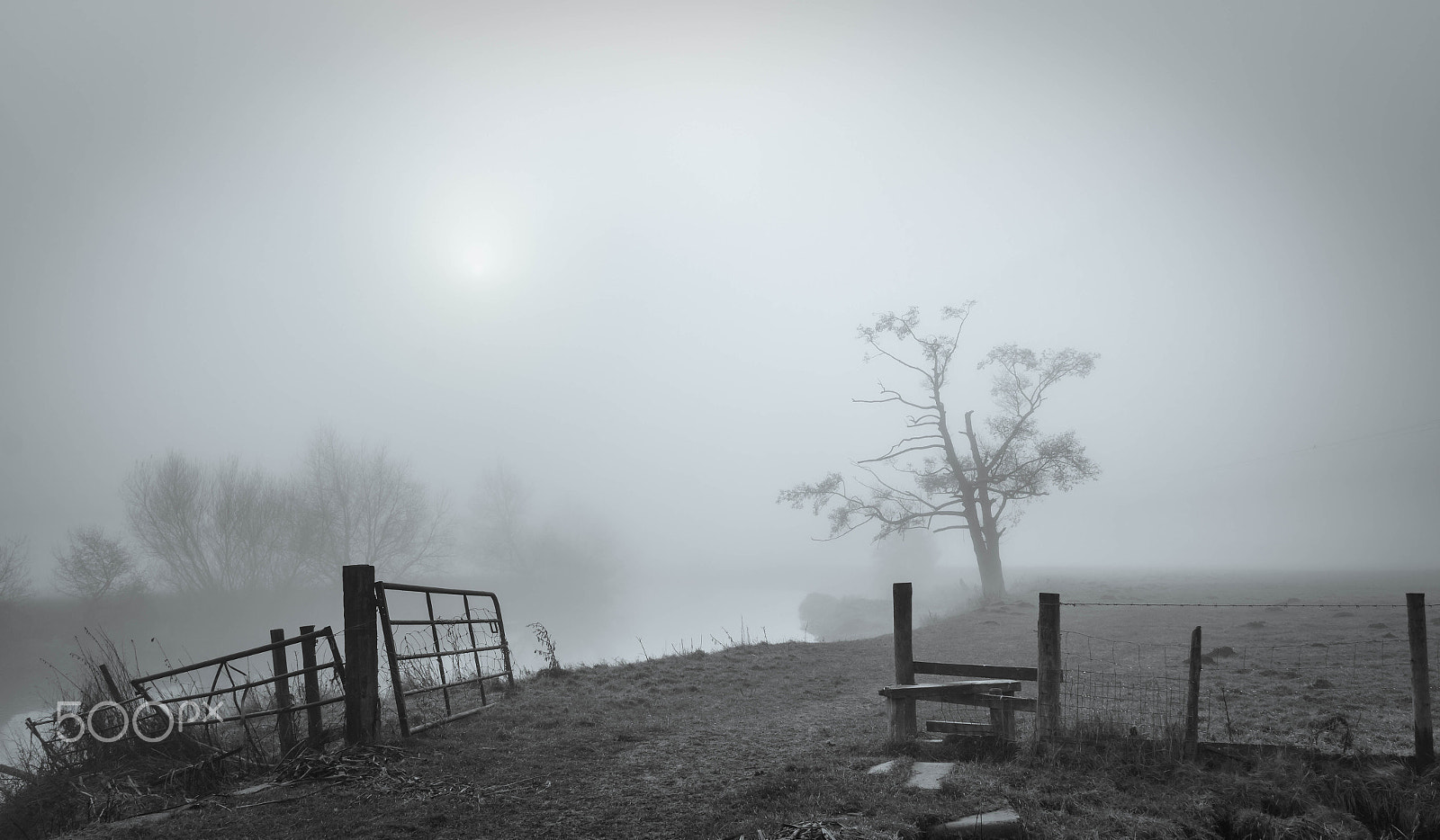 Canon EOS 70D + Sigma 18-50mm f/2.8 Macro sample photo. Farm gate and the mist photography