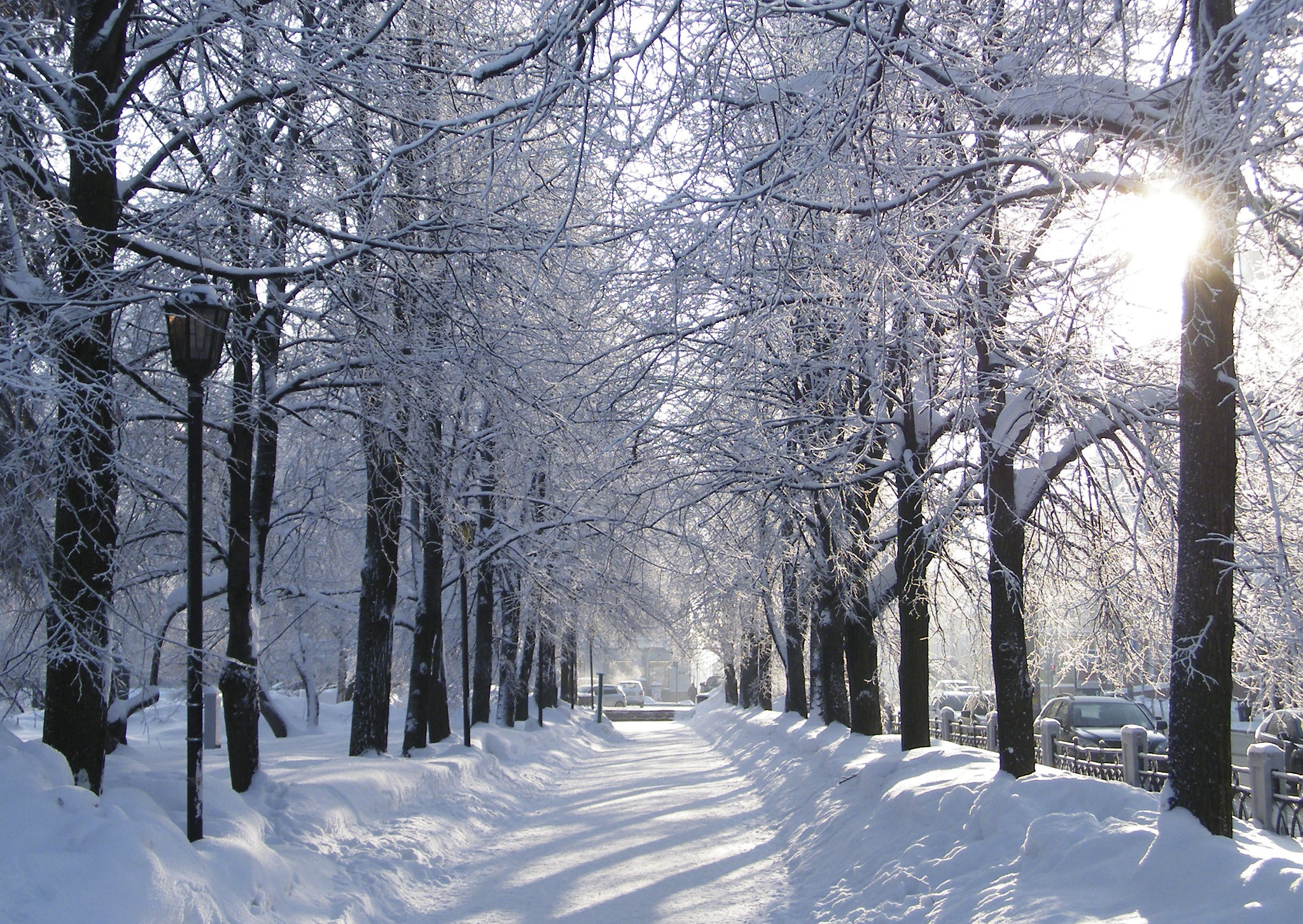 Fujifilm FinePix S2000HD sample photo. Frozen park photography