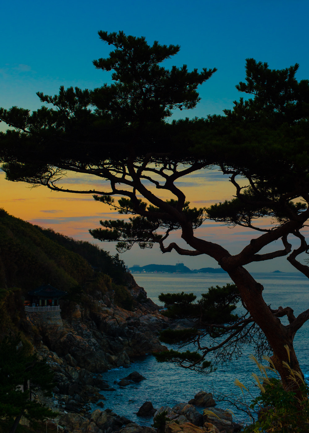 Nikon AF Nikkor 50mm F1.4D sample photo. Tree at korean temple sunset photography