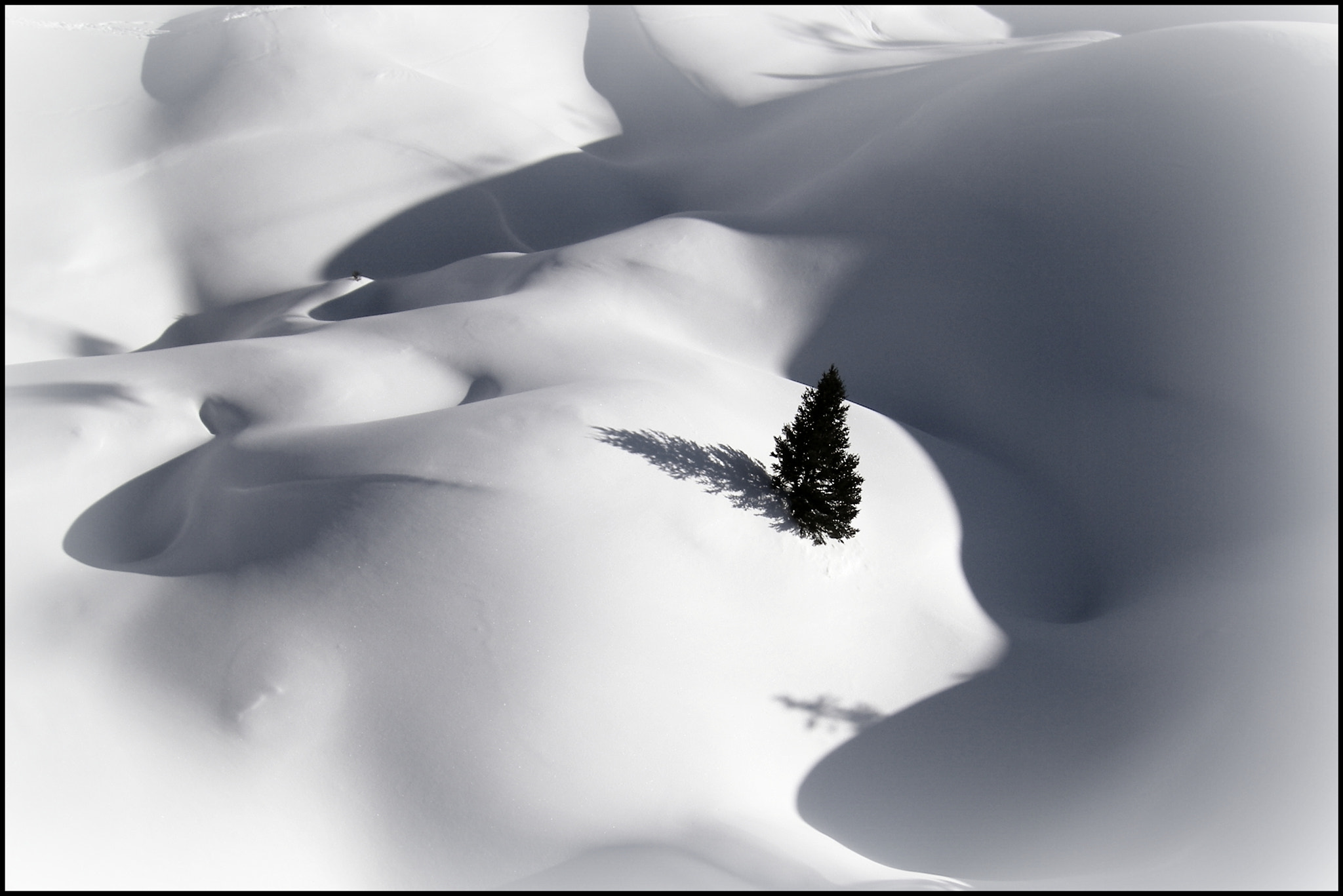 Pentax OPTIO M10 sample photo. Tree in the snow photography