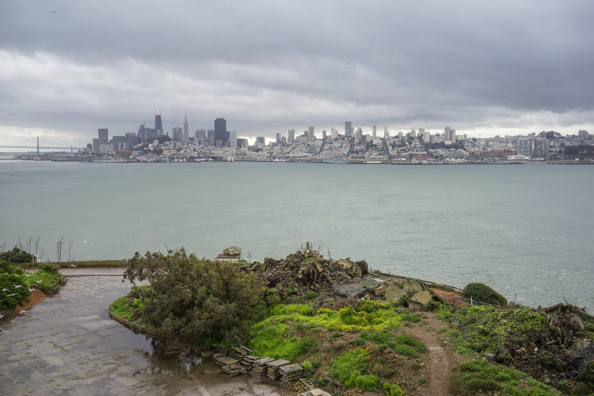 Sony a7R + Sony Sonnar T* FE 35mm F2.8 ZA sample photo. Alcatraz photography