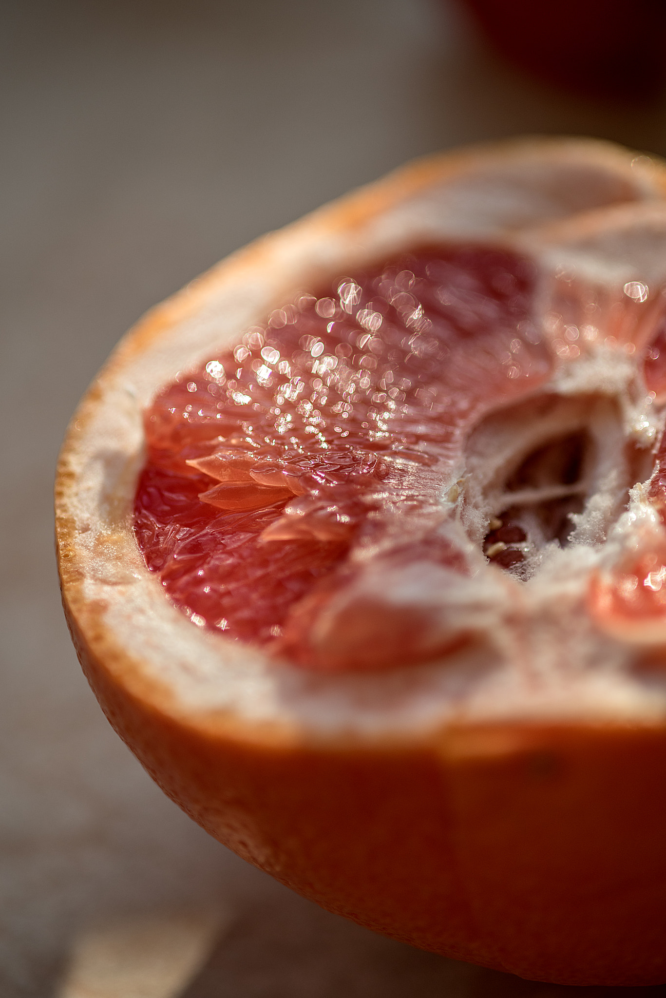 Nikon D750 + AF Micro-Nikkor 105mm f/2.8 sample photo. Sweet dreams) photography