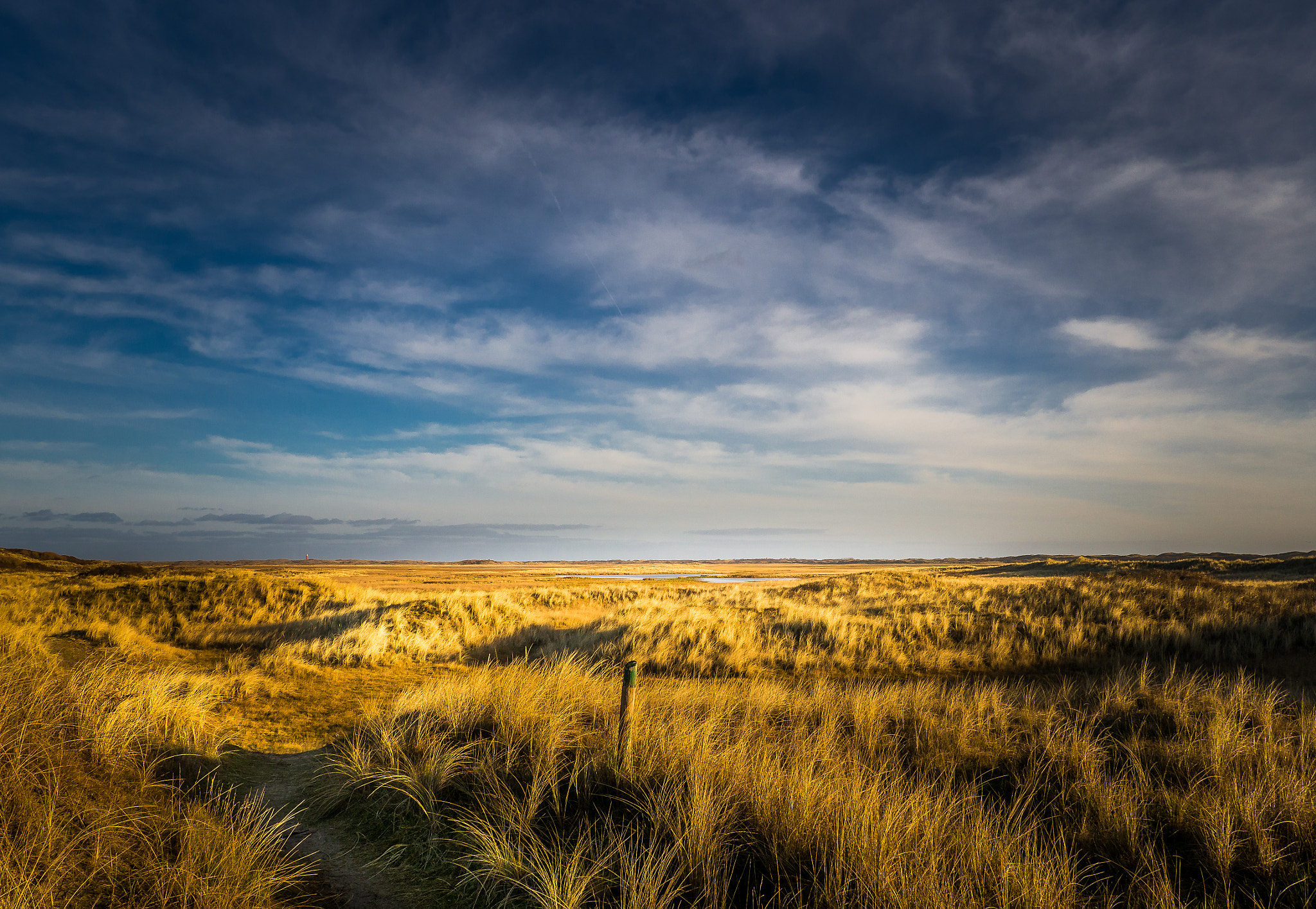 Olympus M.Zuiko Digital 14-42mm F3.5-5.6 II R sample photo. Dunes of texel photography