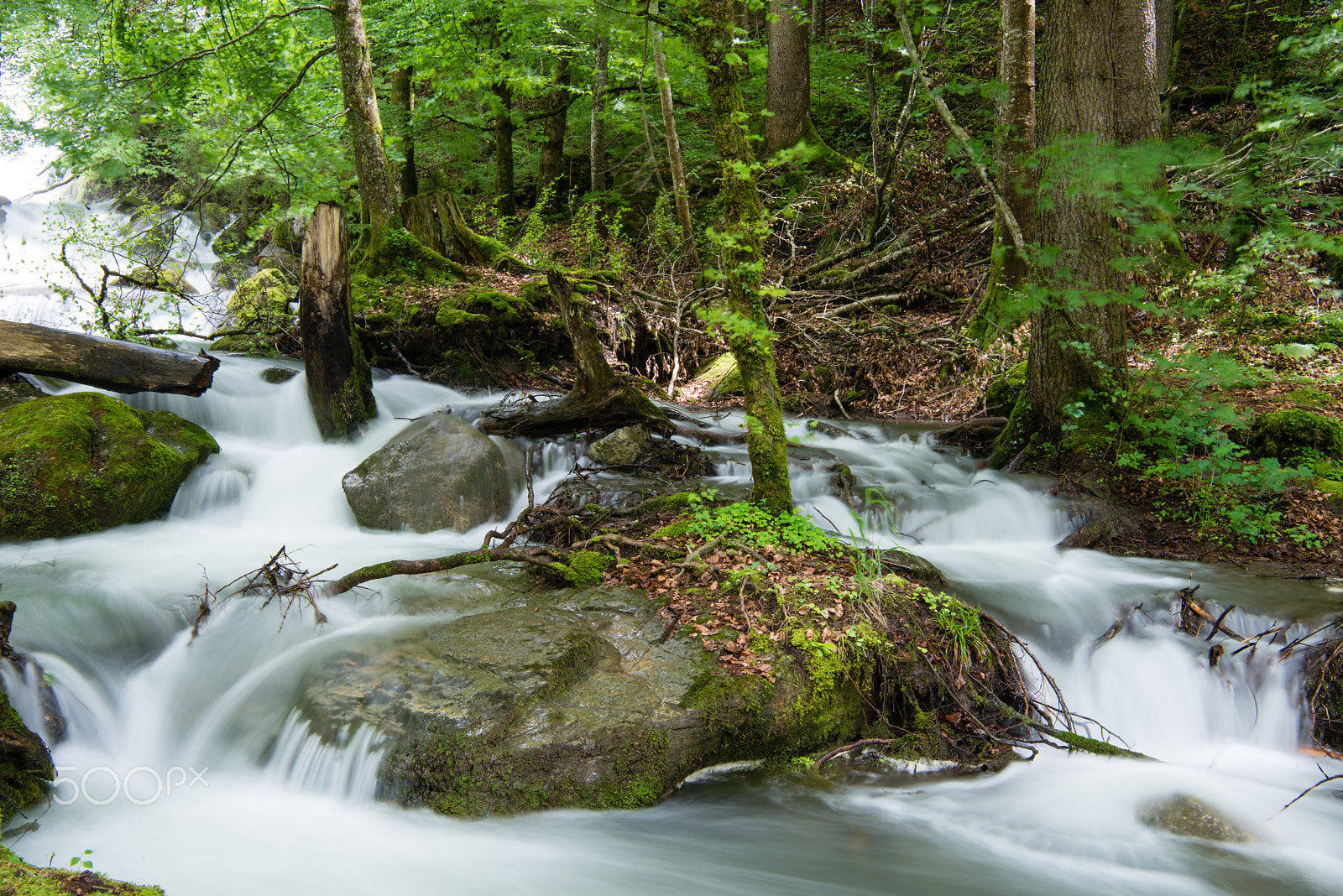 Nikon AF-S Nikkor 24-70mm F2.8E ED VR sample photo. Giessbachfälle photography