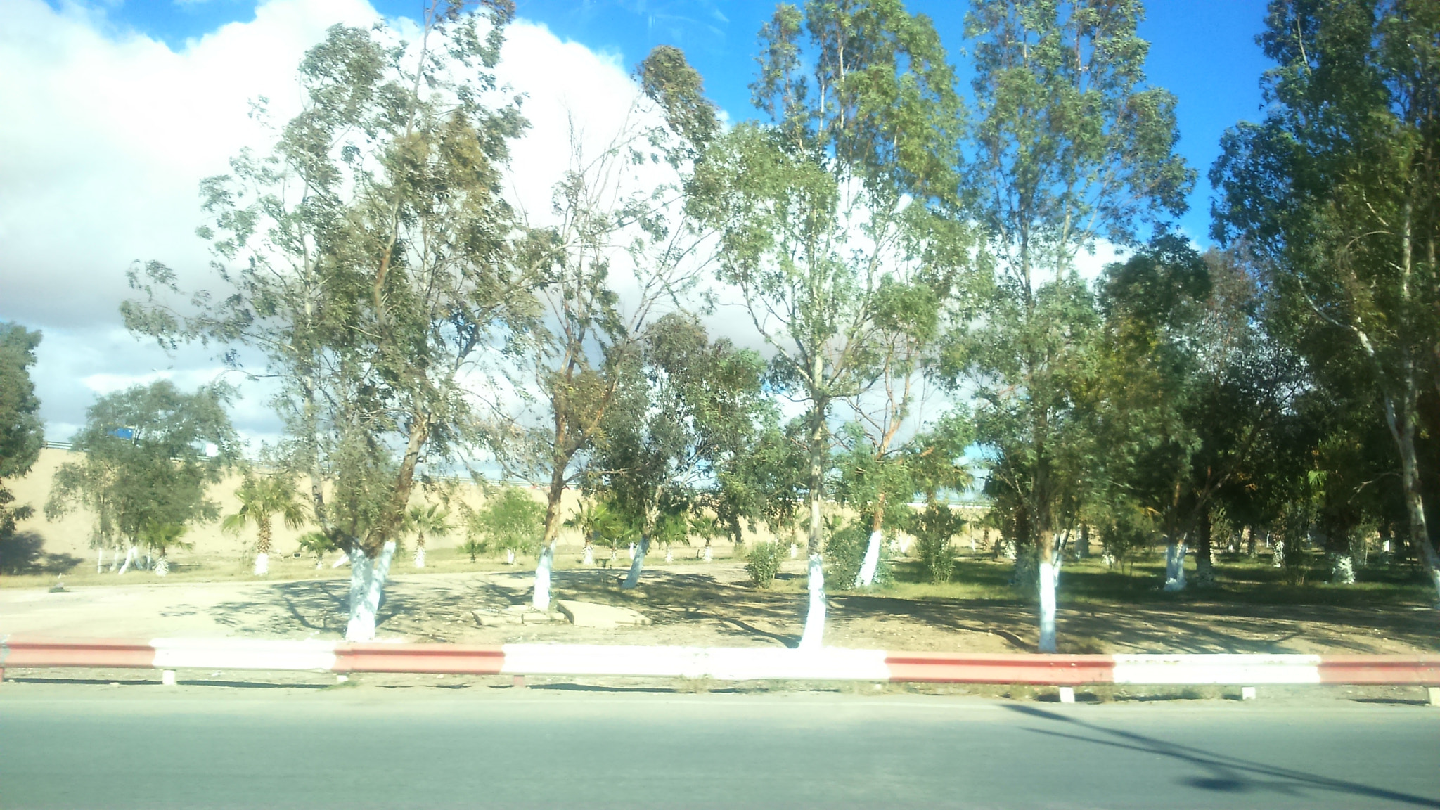 Sony Xperia M2 sample photo. Fi  photography
