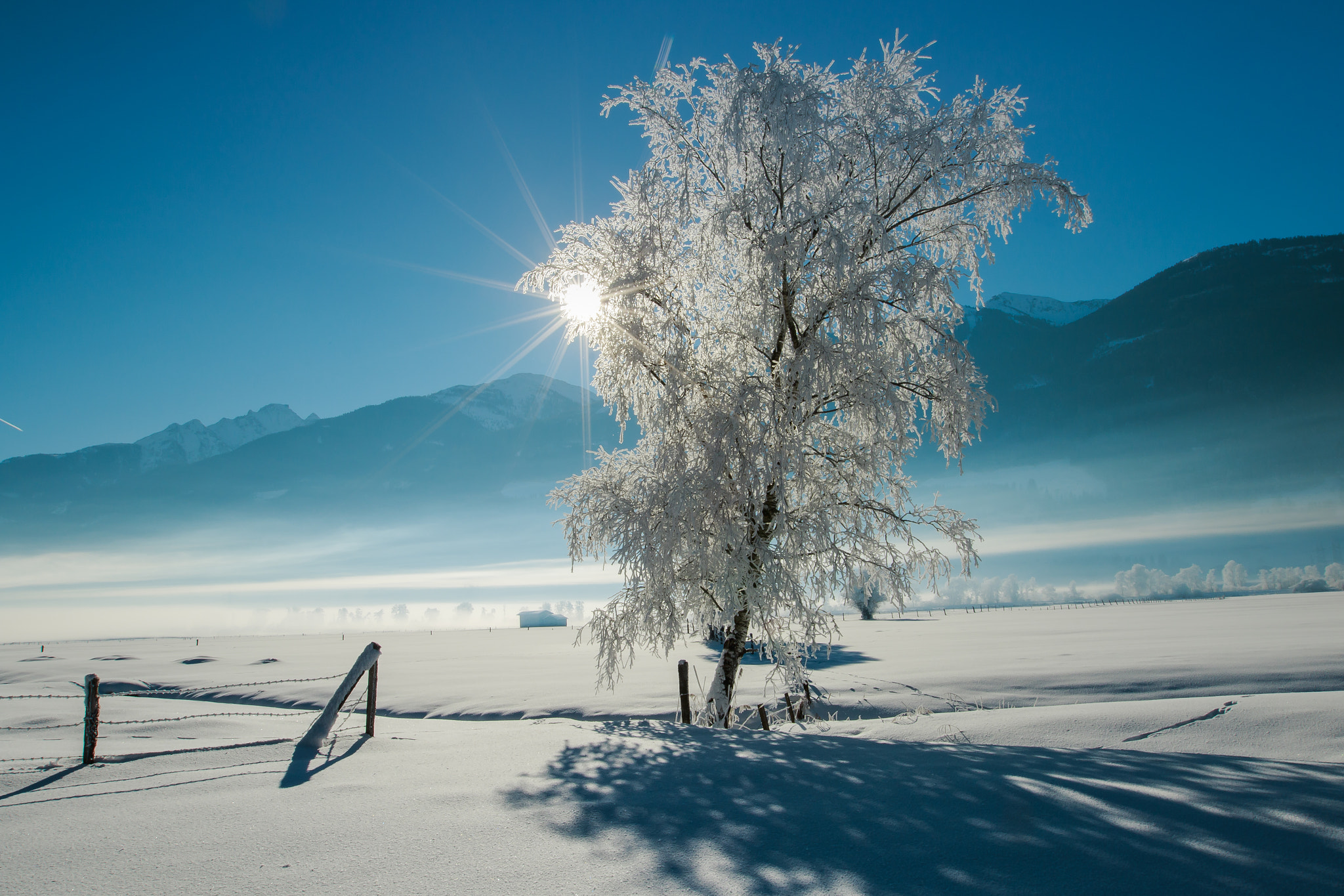 Canon EF 16-35mm F2.8L II USM sample photo. The lonely tree photography