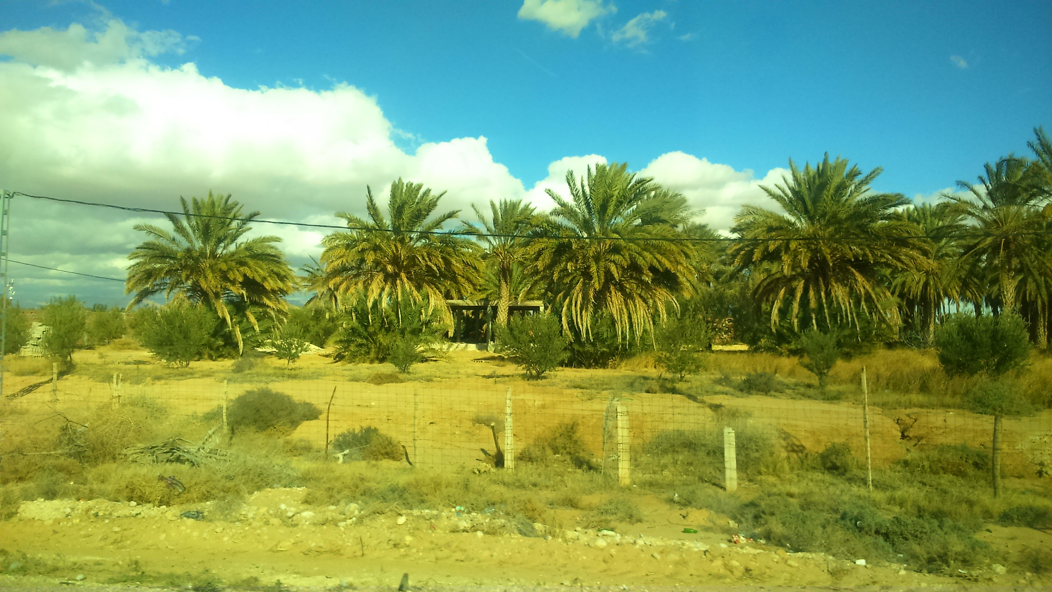 Sony Xperia M2 sample photo. Cg  photography