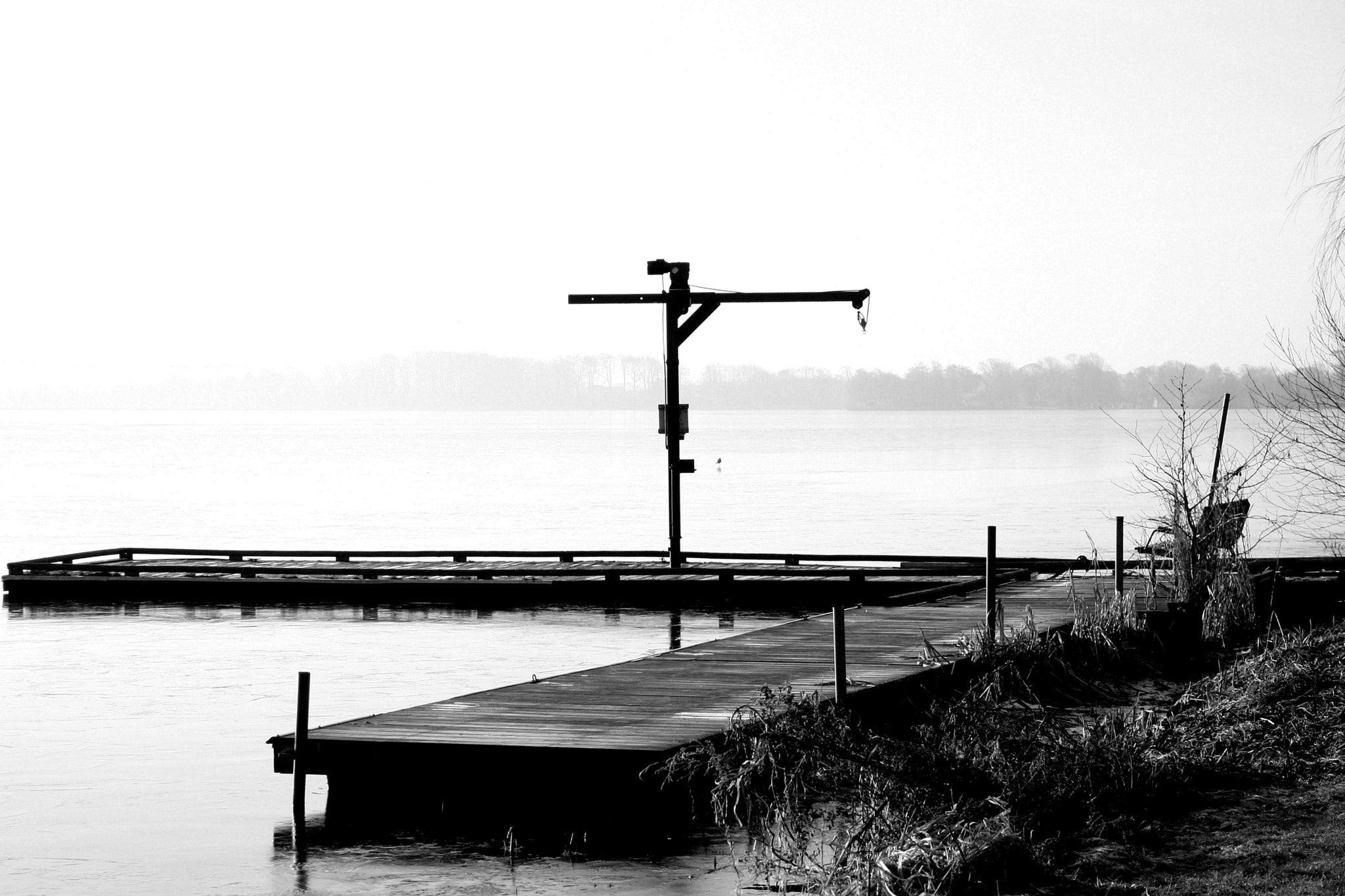 Canon EOS 40D + Canon EF 50mm f/1.8 sample photo. Bridge photography