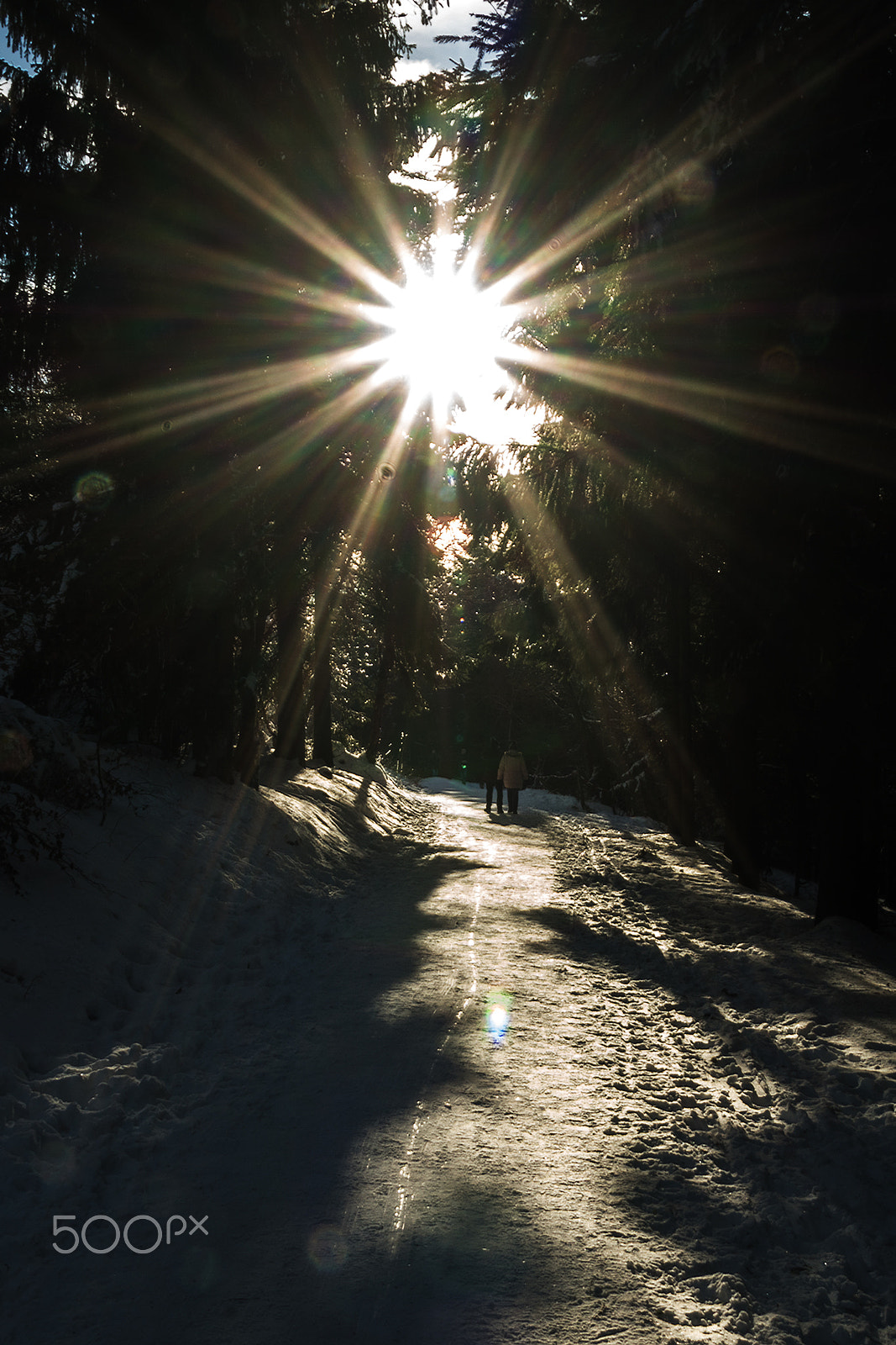 Sony ILCA-77M2 + Tamron AF 28-105mm F4-5.6 [IF] sample photo. Winter's cold sun photography