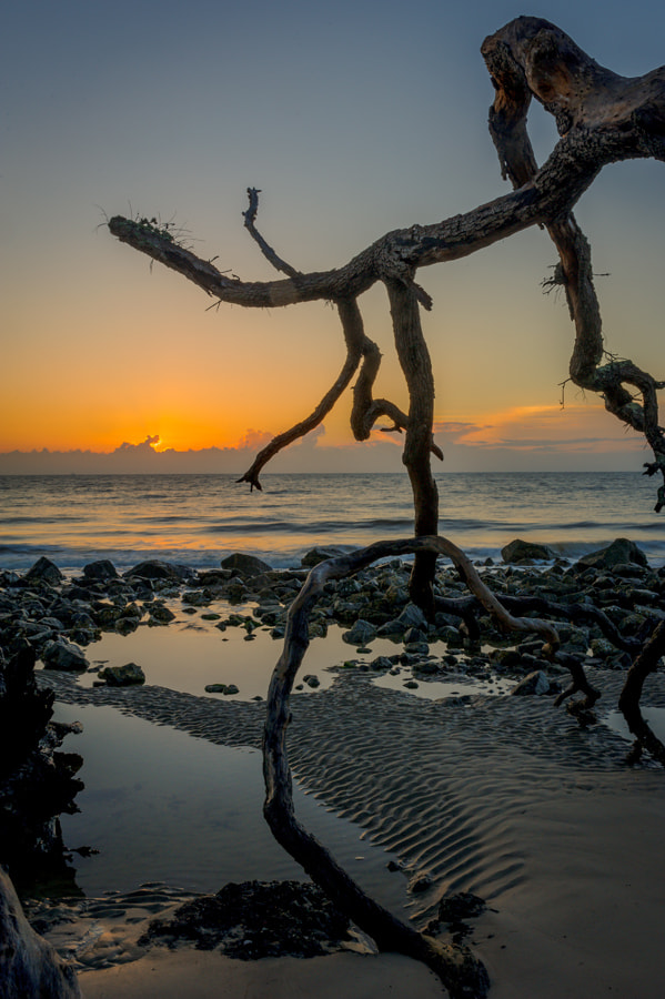 Nikon AF-S Nikkor 28-70mm F2.8 ED-IF sample photo. Driftwood sunrise photography