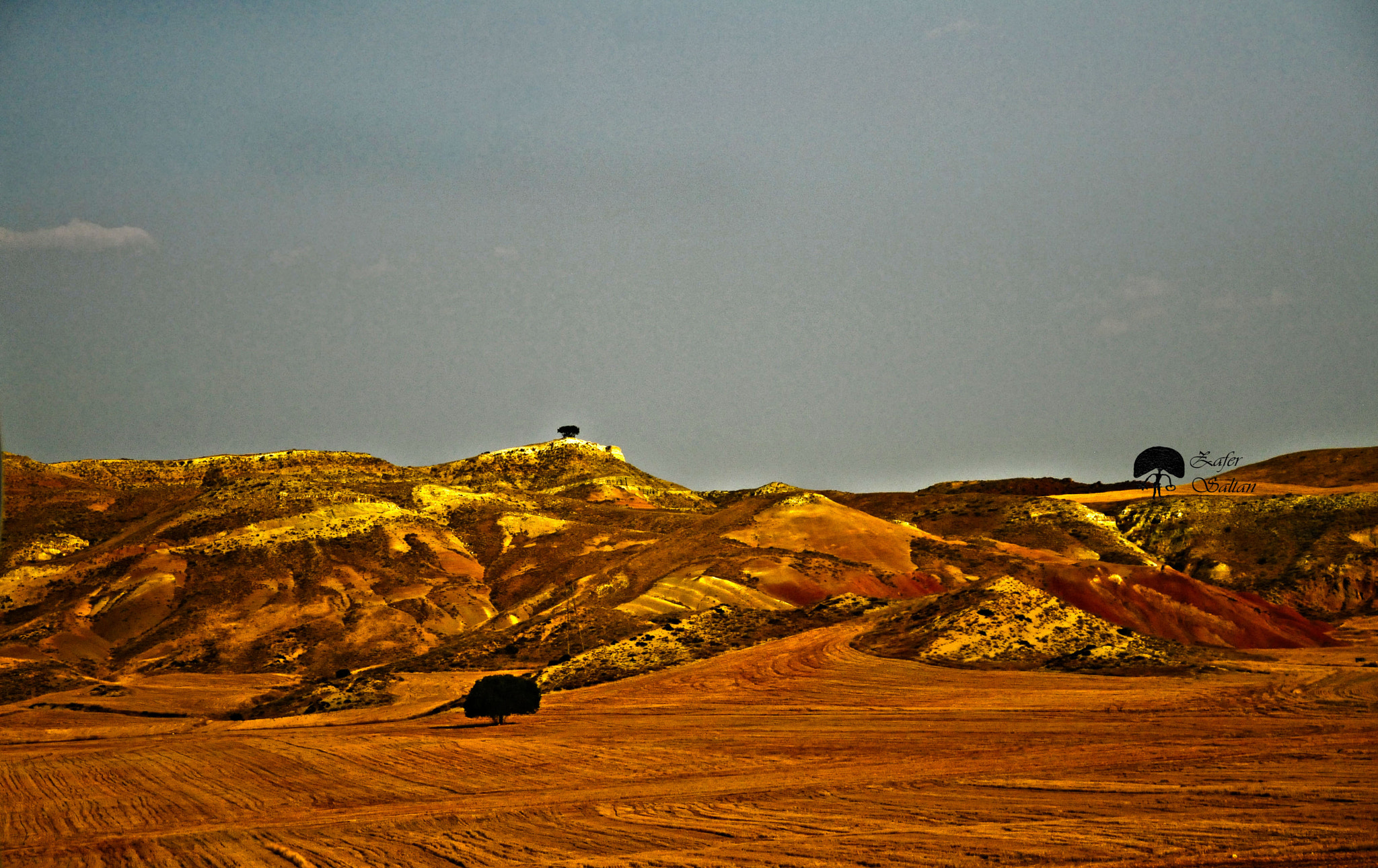 Nikon D300 sample photo. Ankara photography